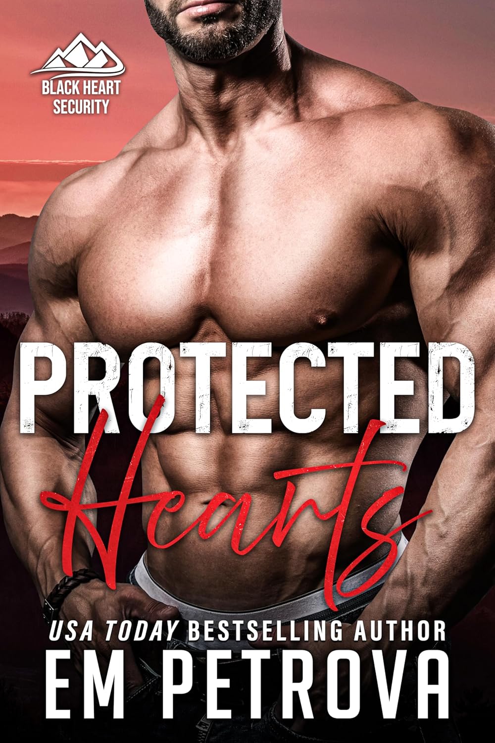 Black Heart Security book cover 1