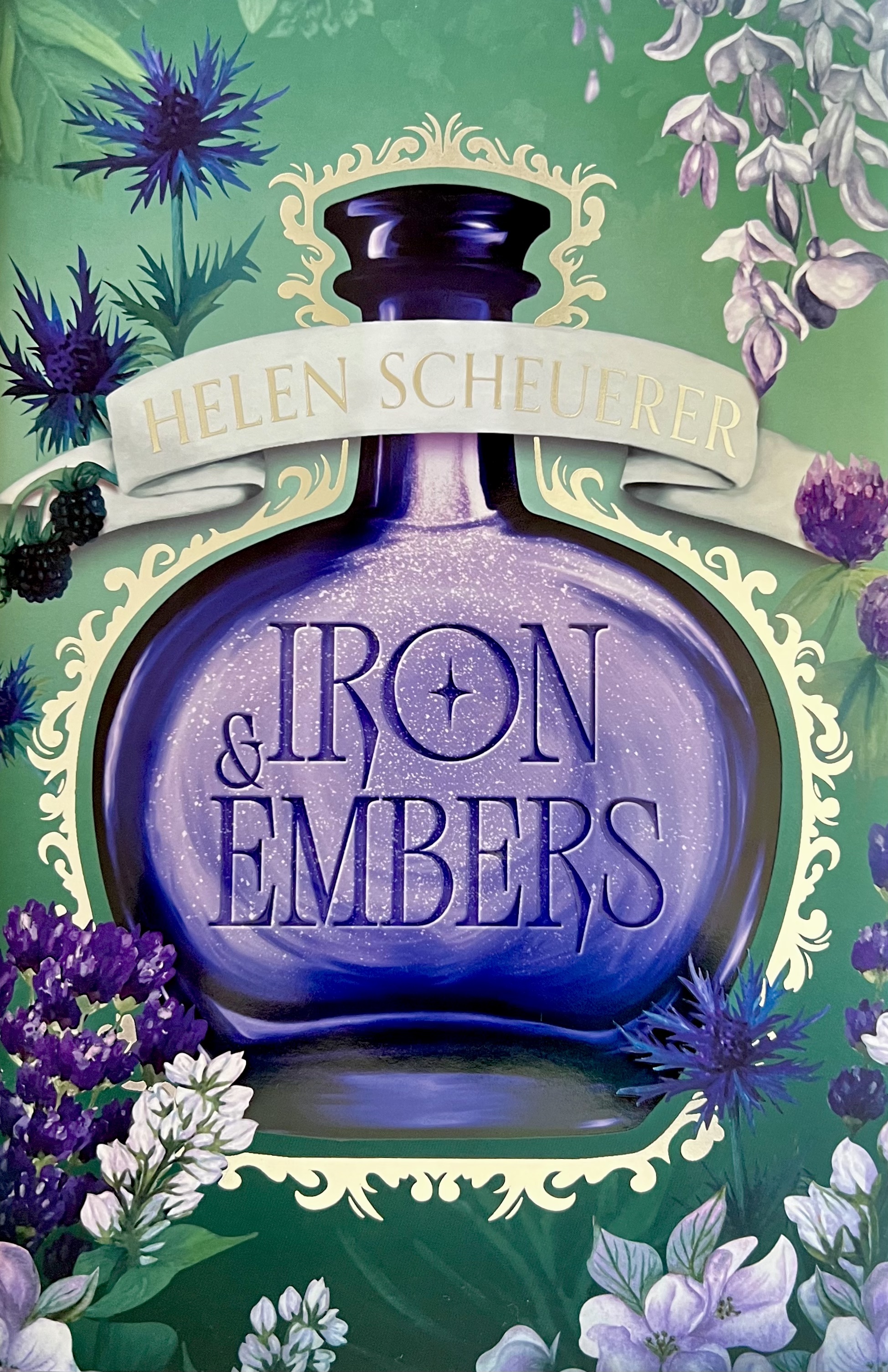 Iron & Embers (The Ashes of Thezmarr, #1)