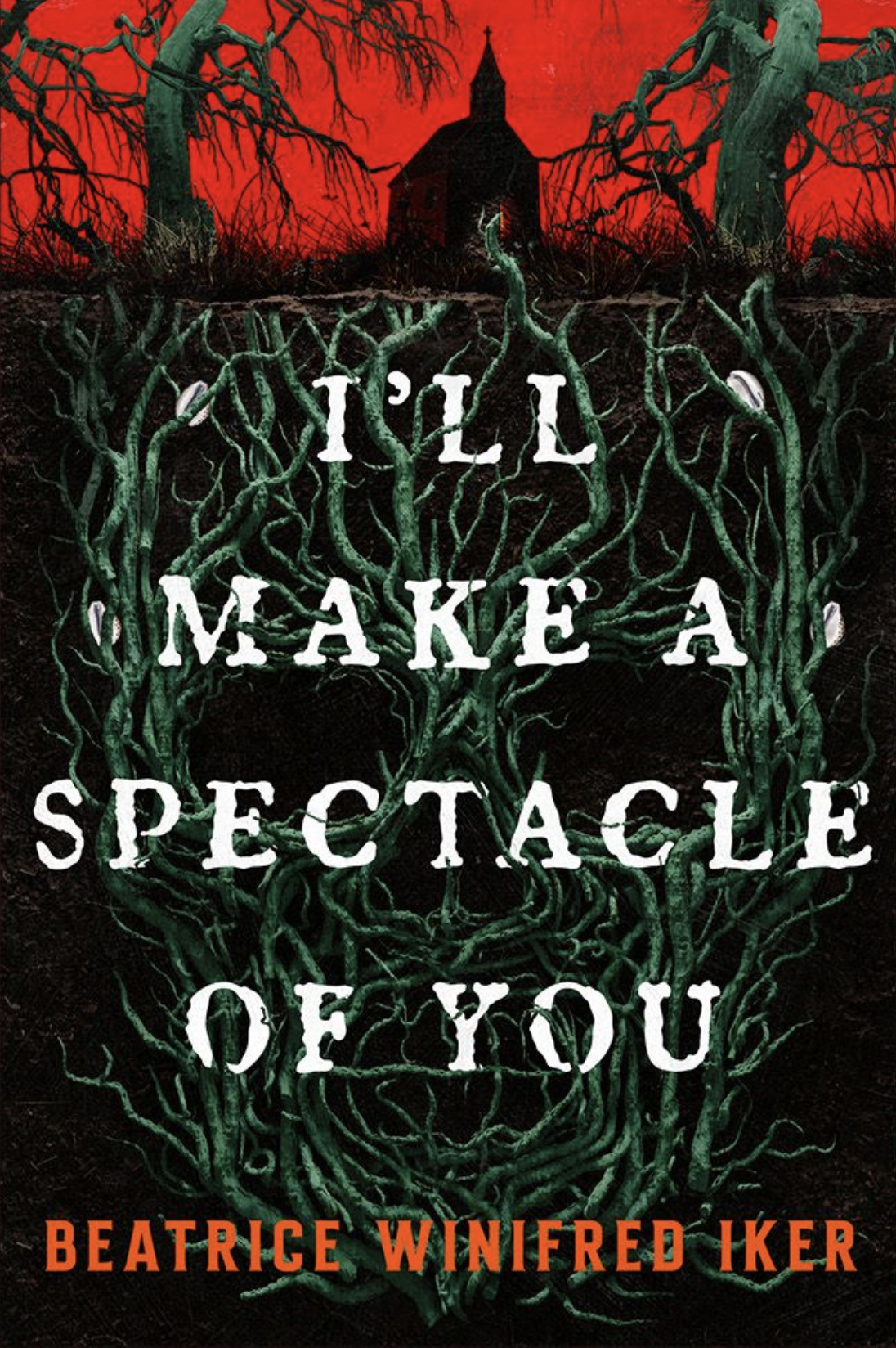 I'll Make A Spectacle Of You