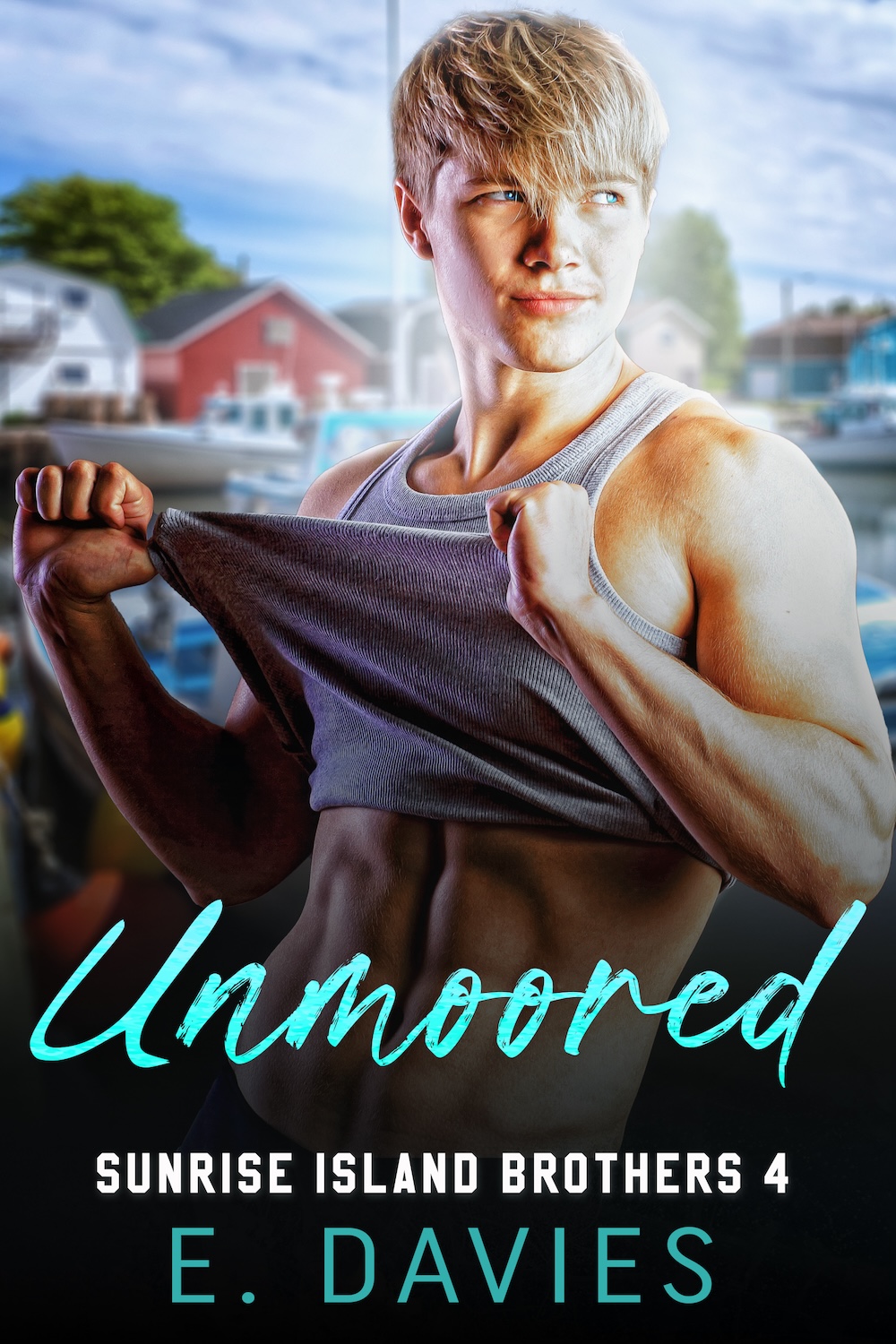 Sunrise Island Brothers book cover 3