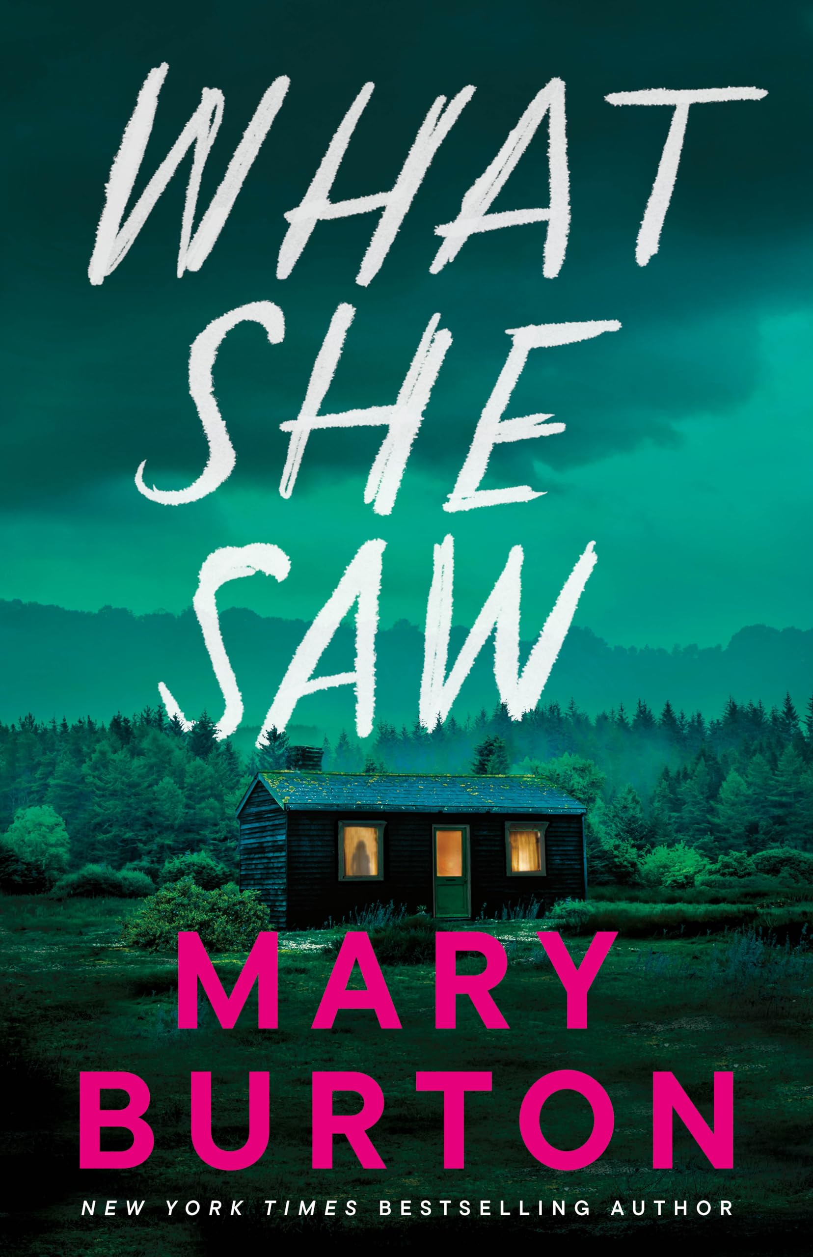 What She Saw book cover