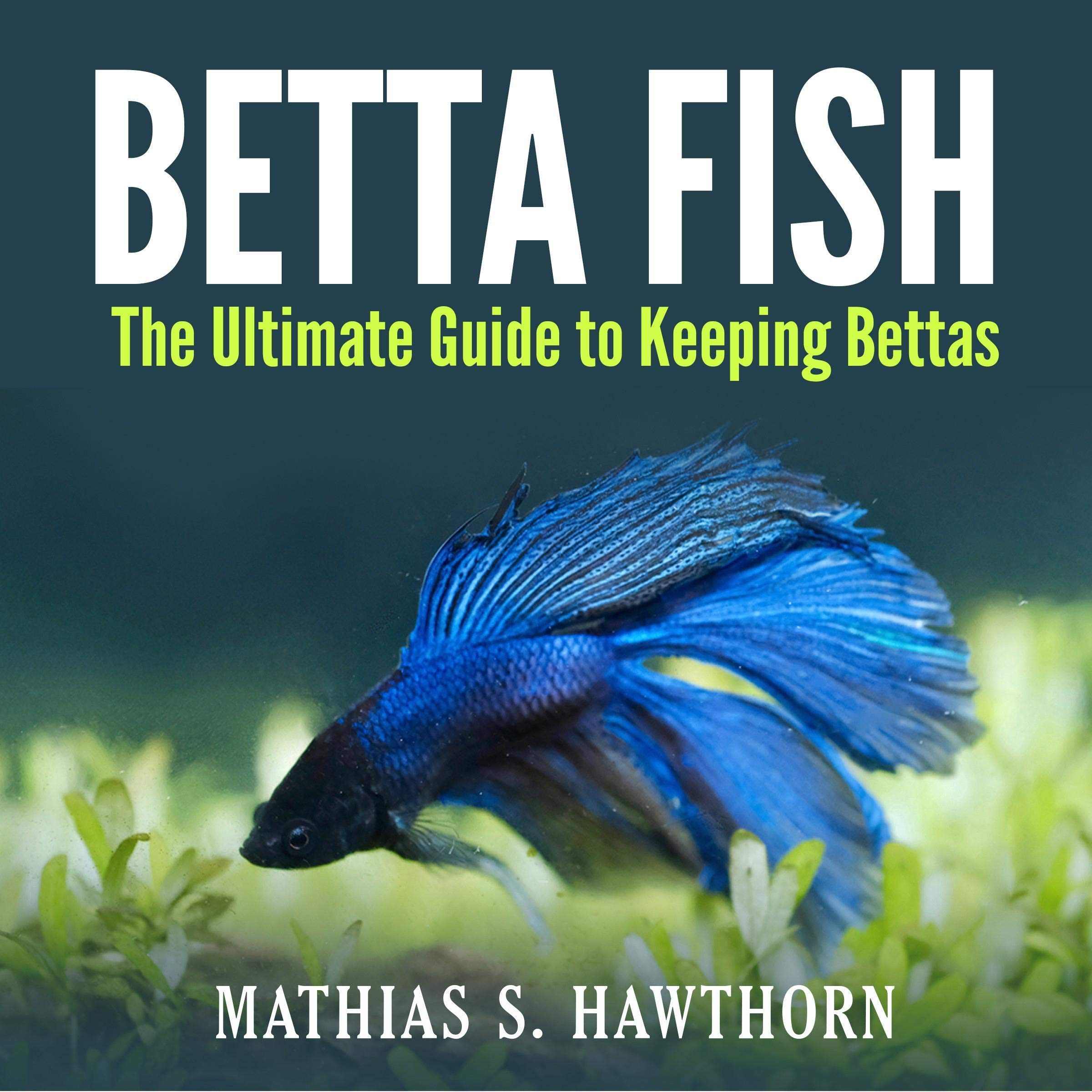 Betta Fish: The Ultimate Guide to Keeping Bettas by Mathias S. Hawthorn ...