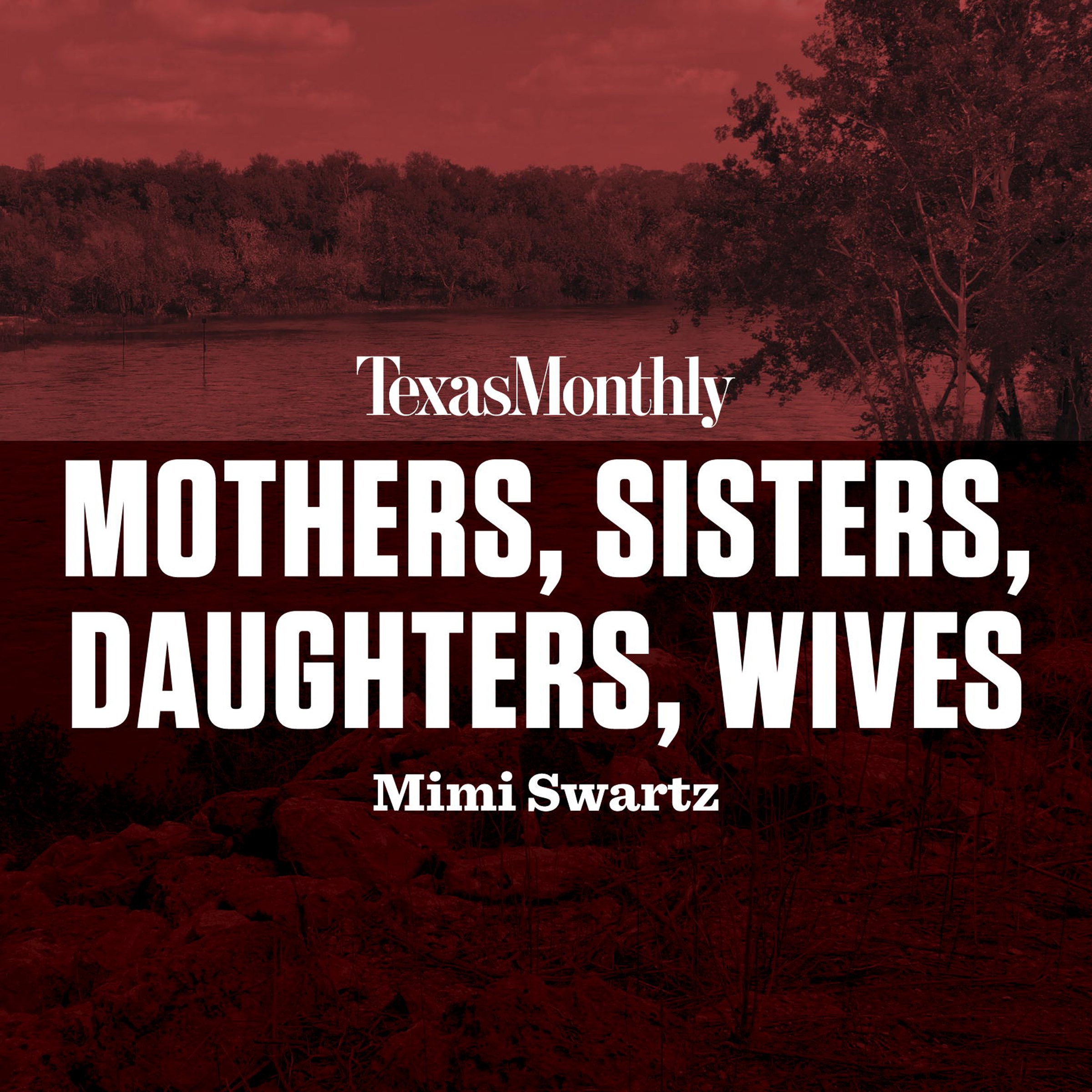 Mothers, Sisters, Daughters, Wives book cover
