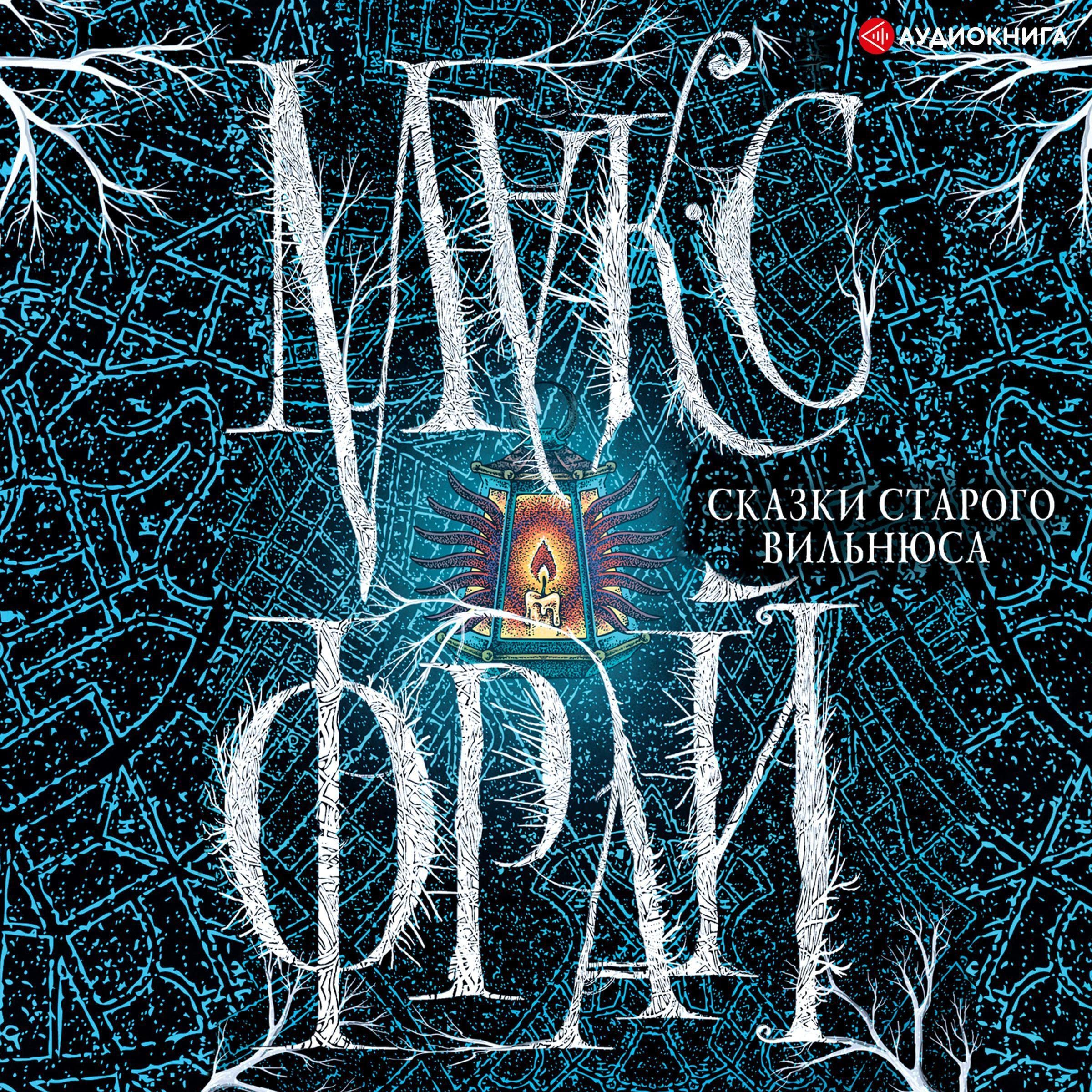 Сказки старого Вильнюса book cover