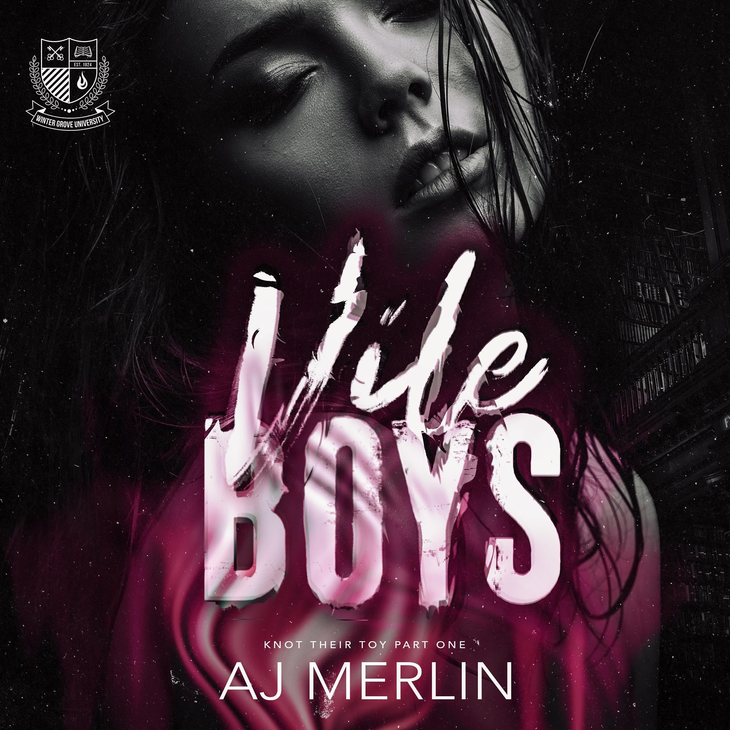 Vile Boys book cover