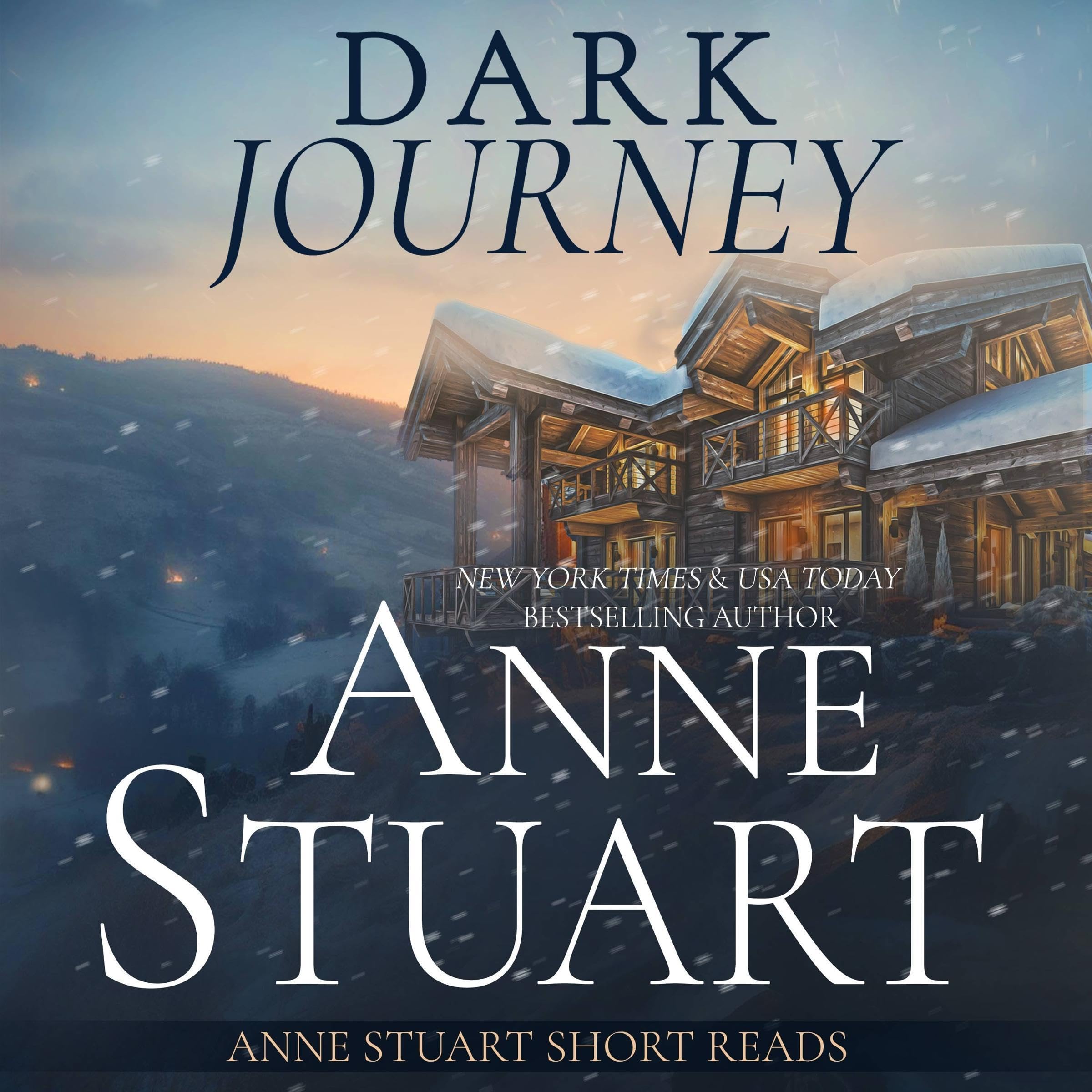 Dark Journey book cover