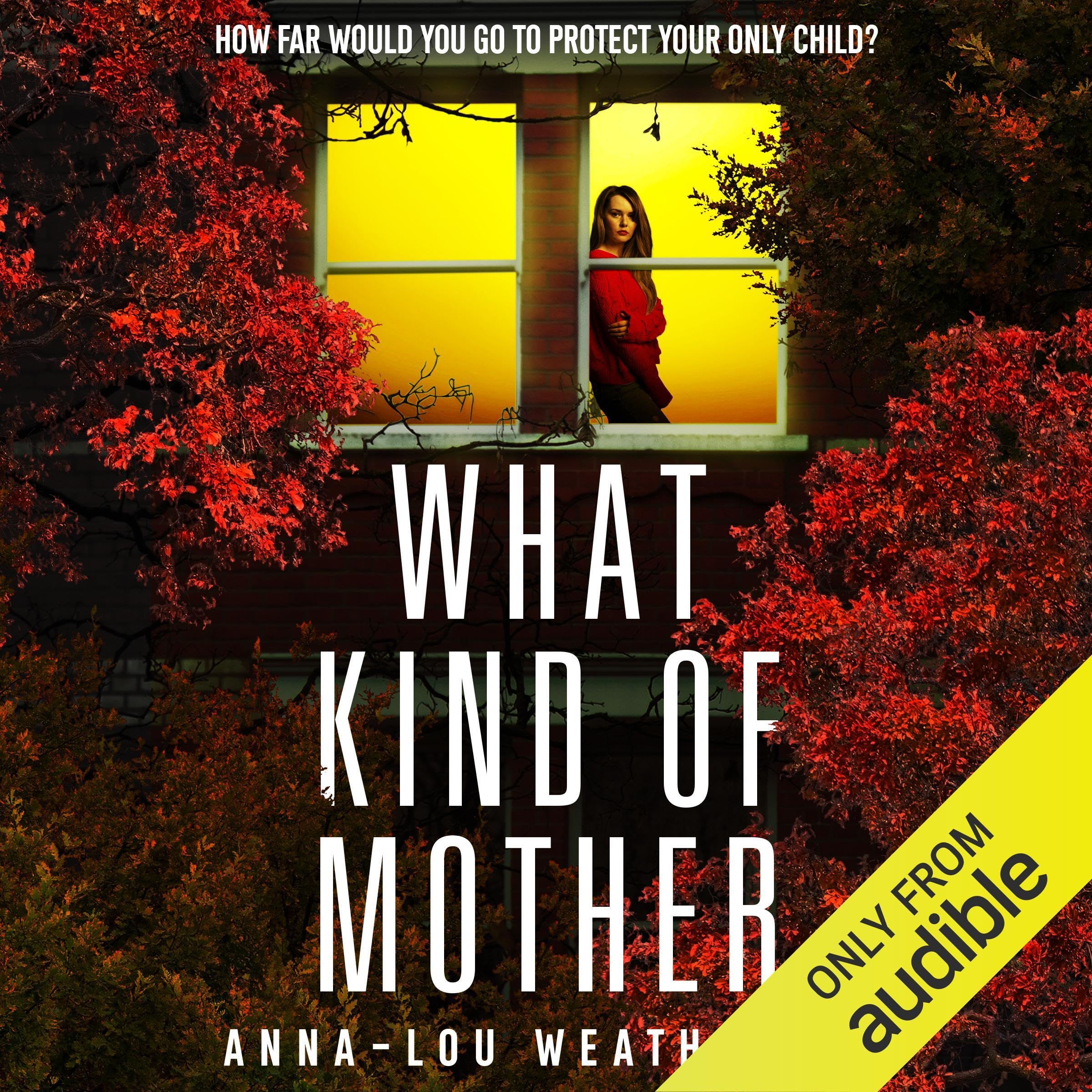 What Kind of Mother book cover