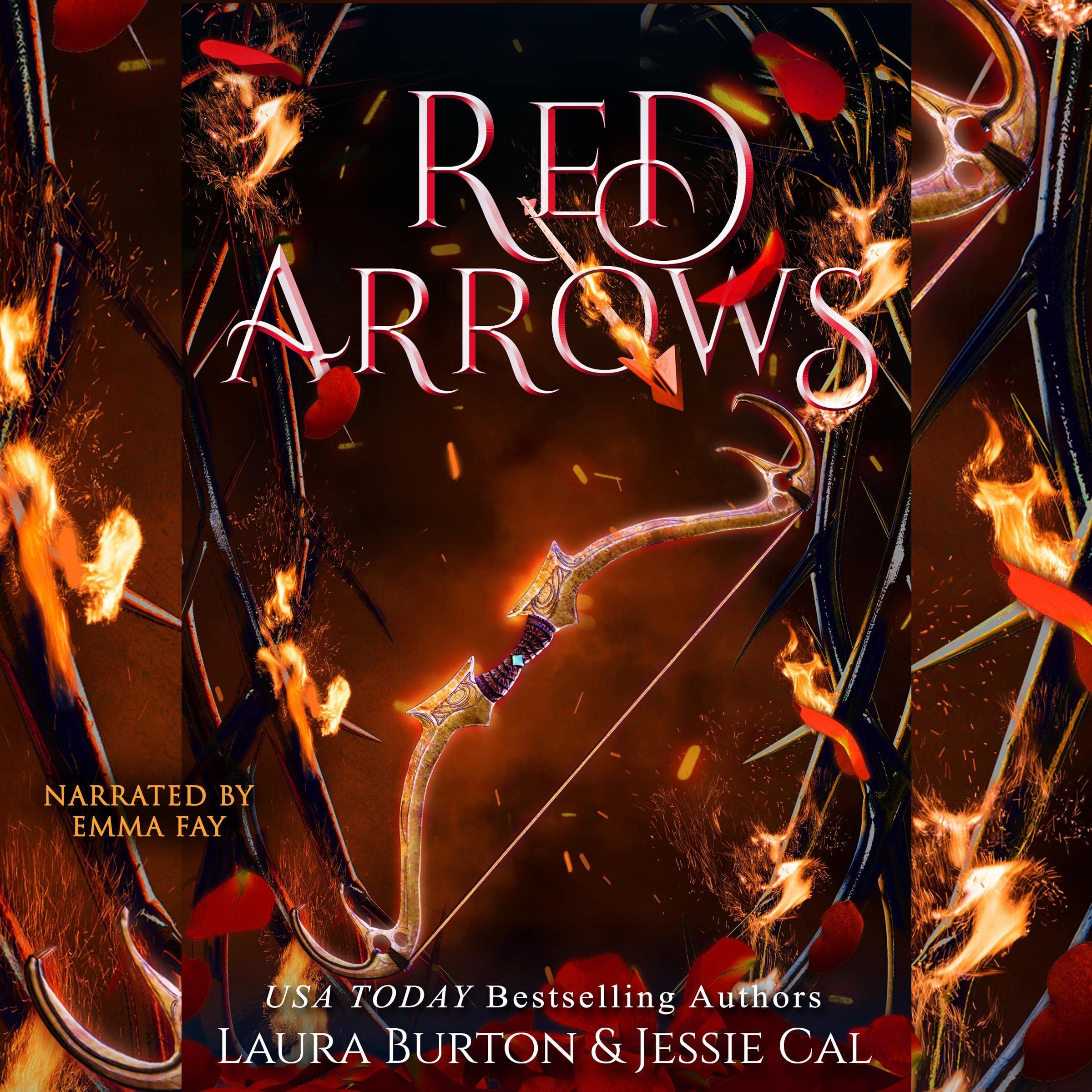 Red Arrows book cover