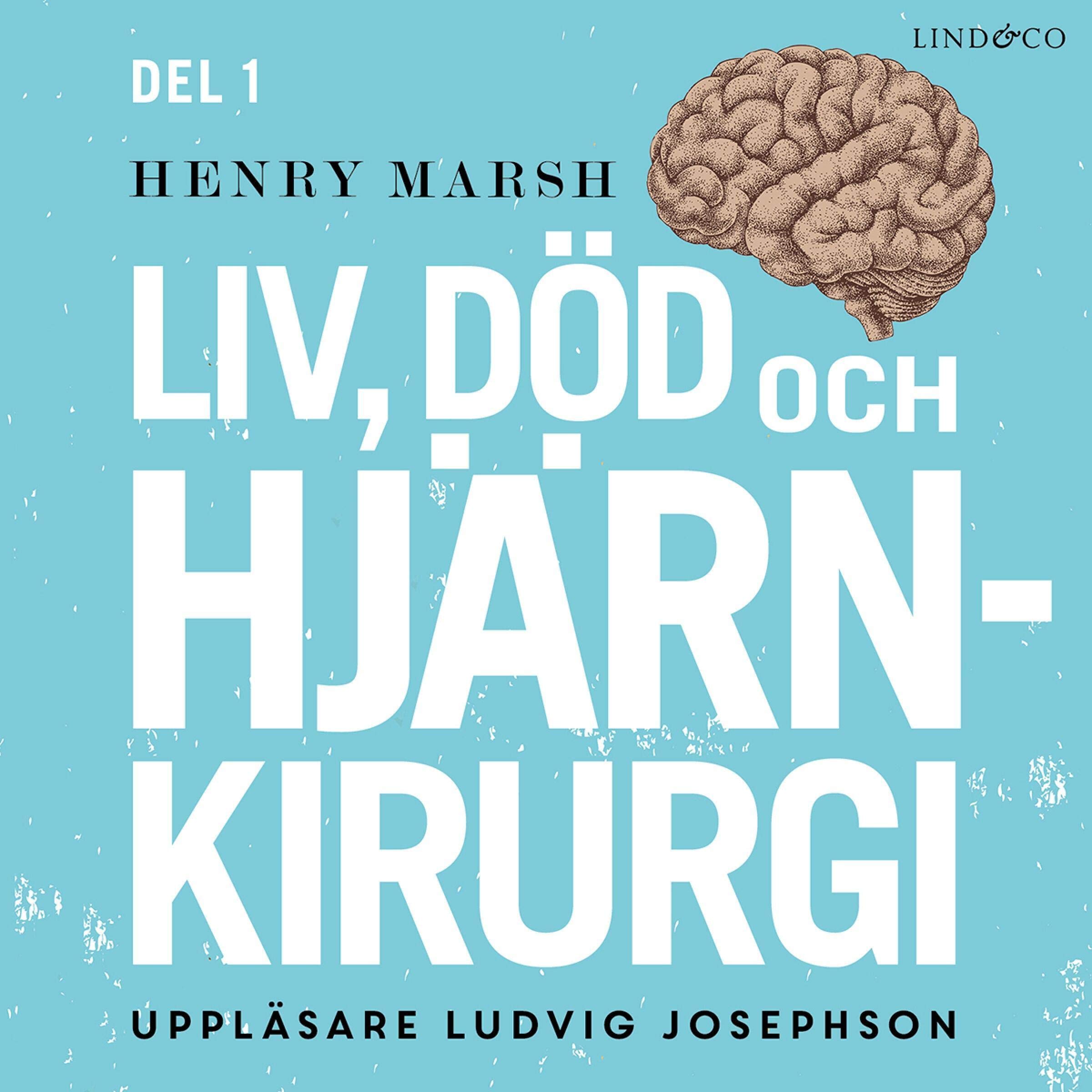 Liv, död och hjärnkirurgi by Henry Marsh Goodreads