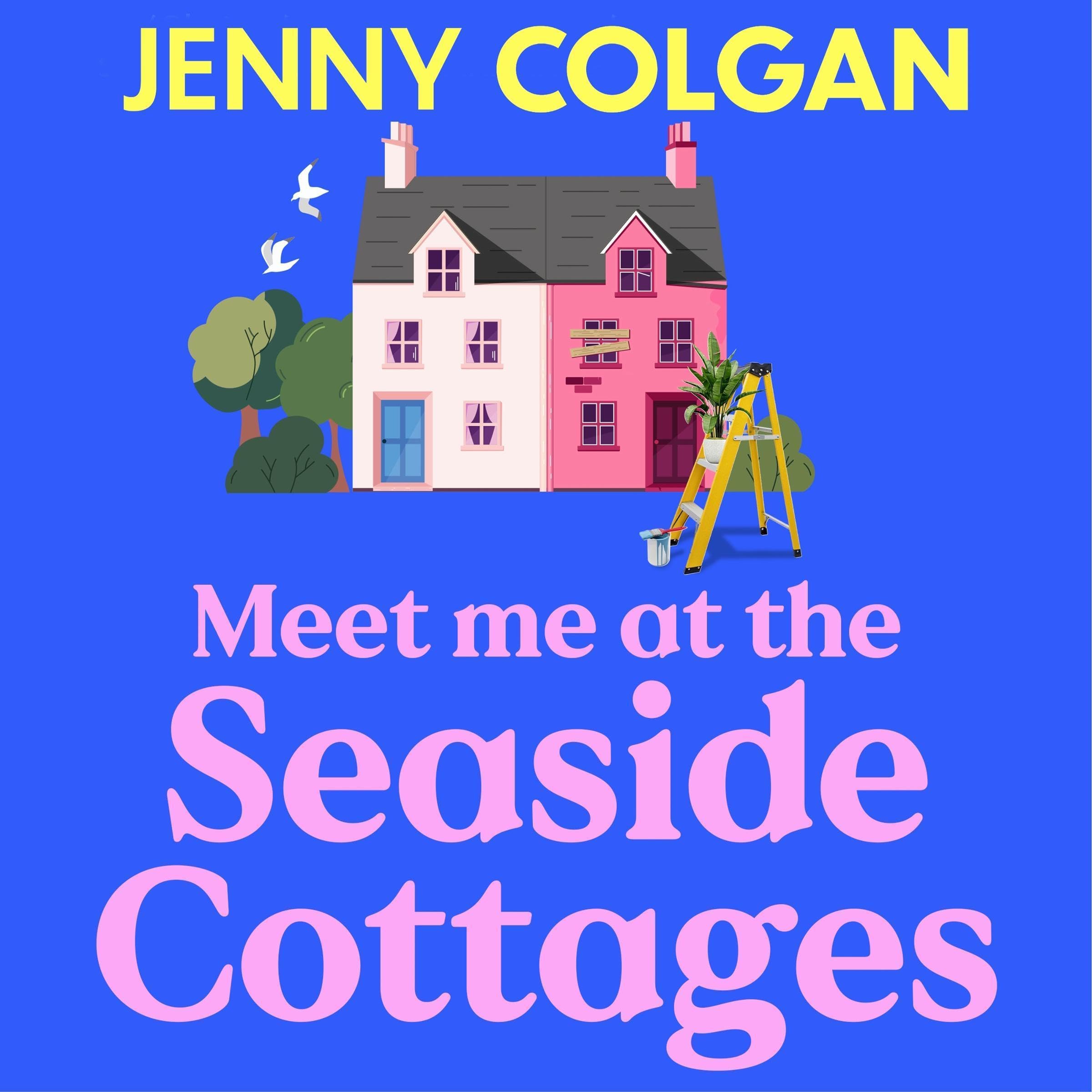Meet Me at the Seaside Cottages book cover