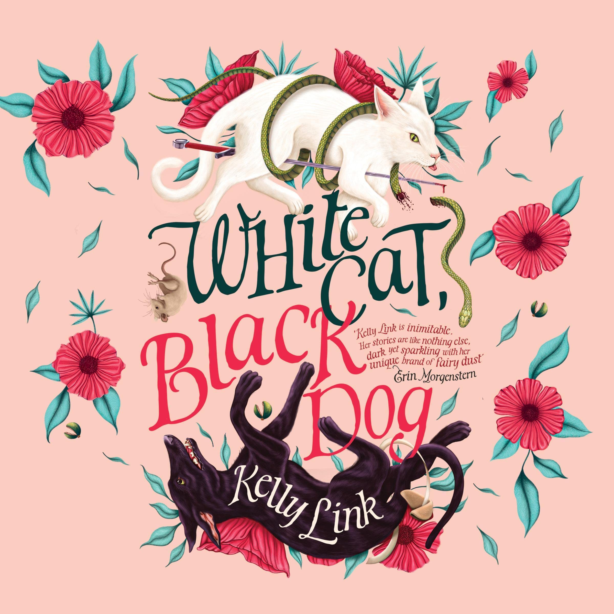 White Cat, Black Dog book cover
