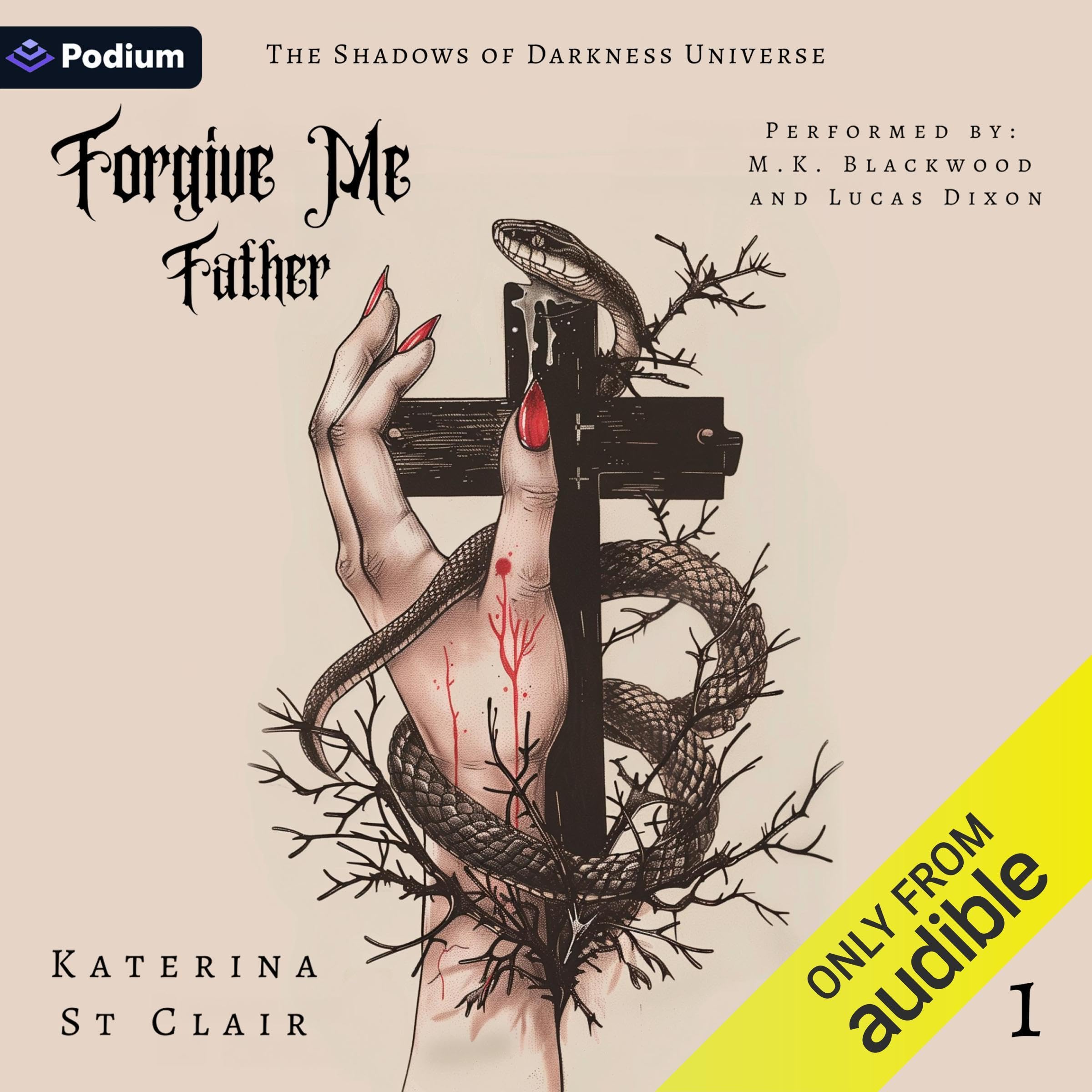 Forgive Me Father (The Shadows of Darkness Universe, #1)