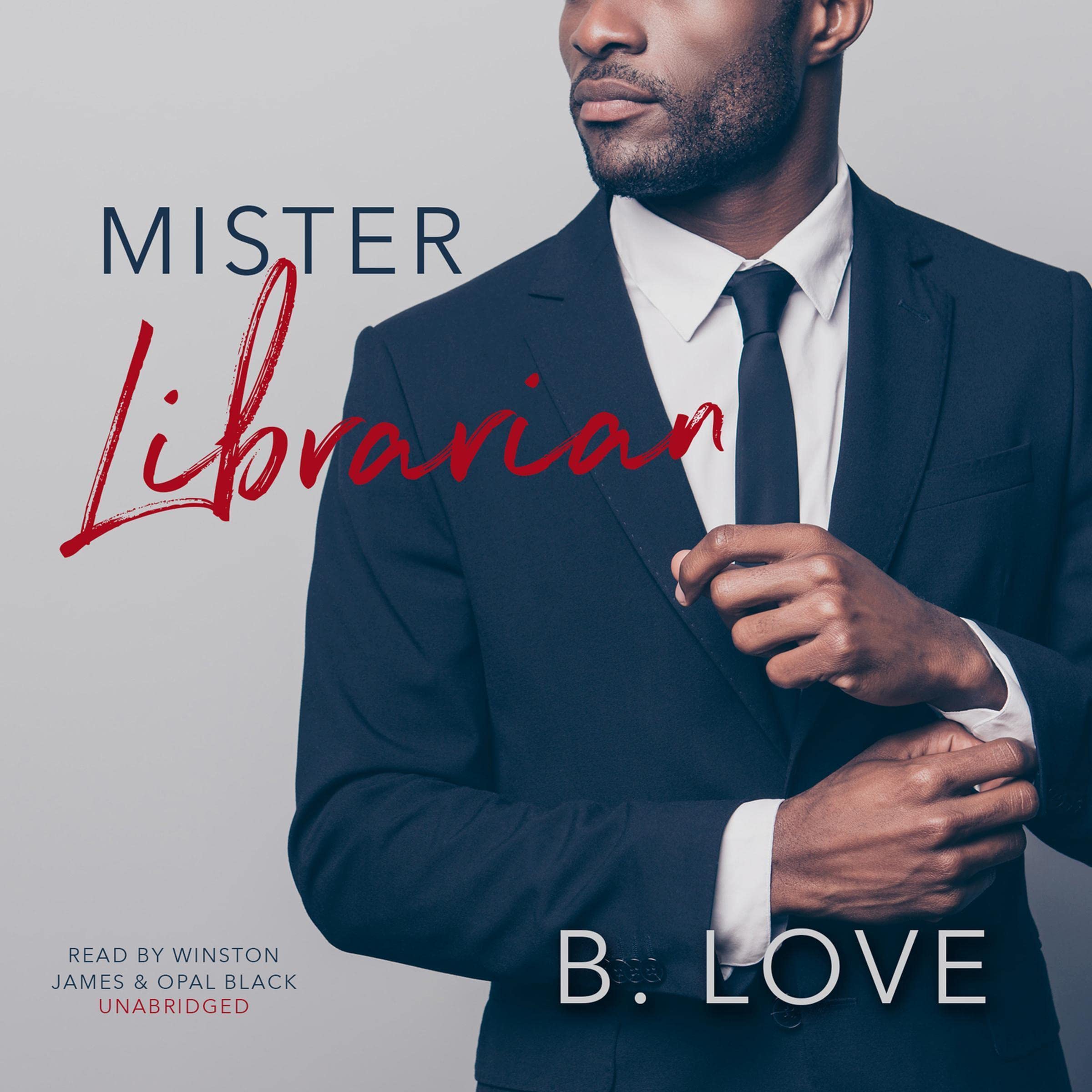 Mister Librarian book cover