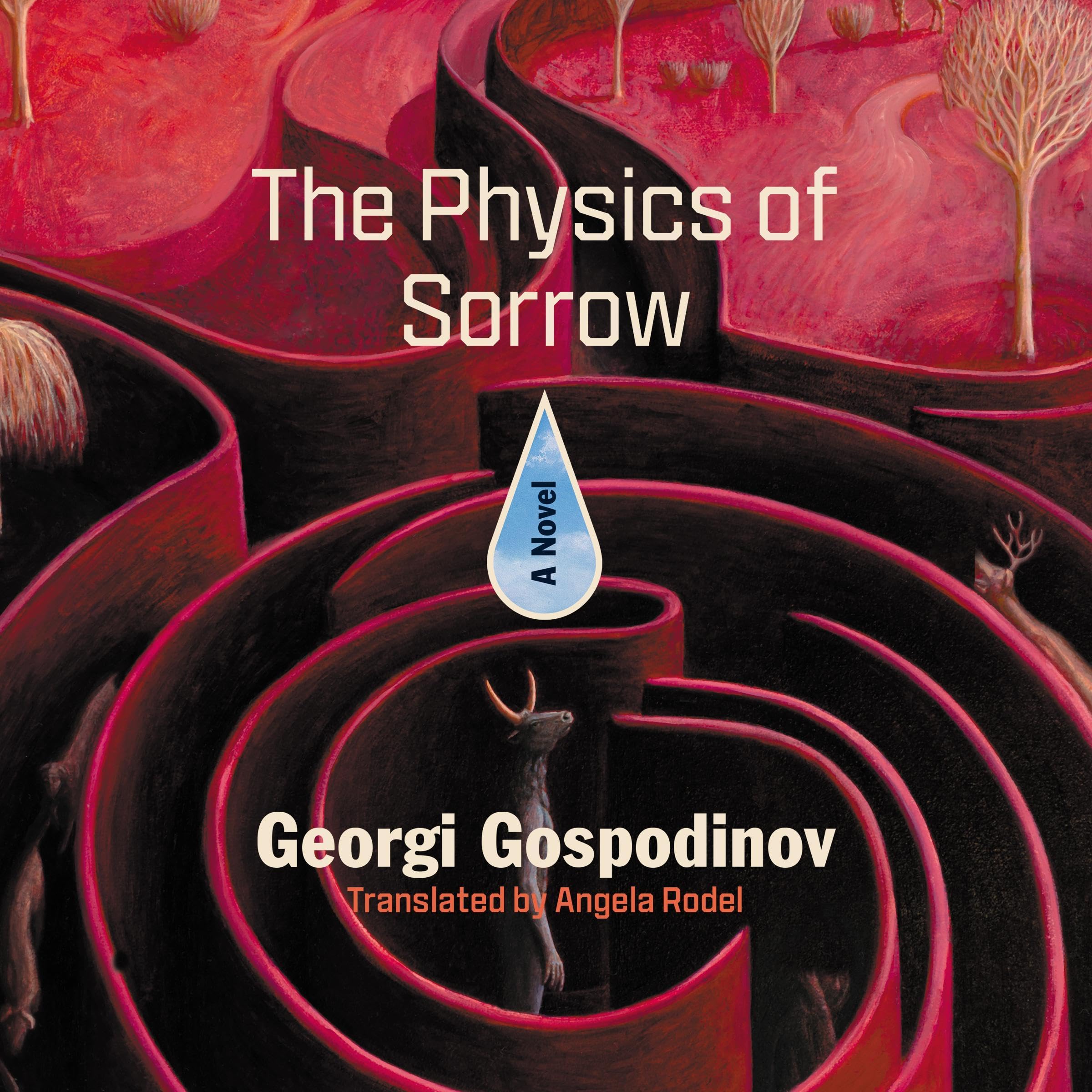 The Physics of Sorrow by Georgi Gospodinov | Goodreads