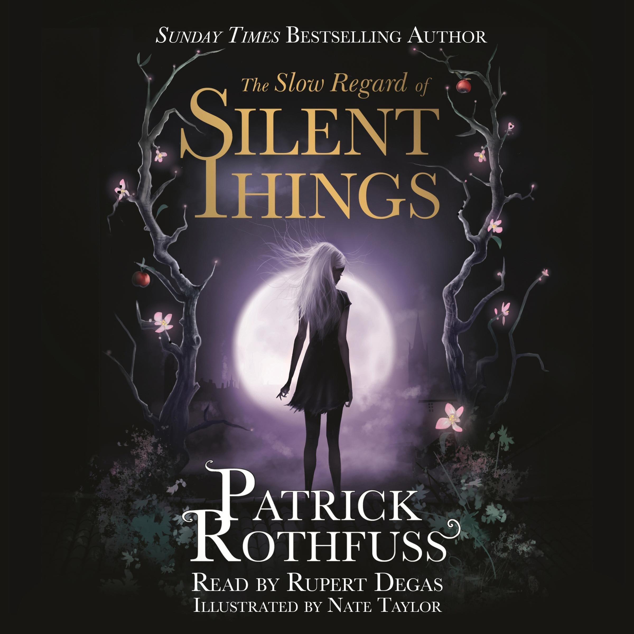 The Slow Regard of Silent Things book cover