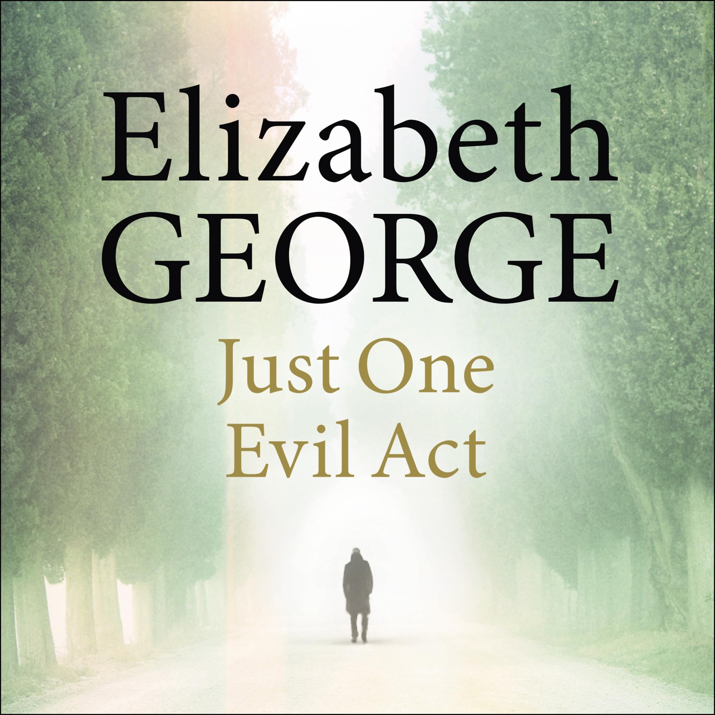 Just One Evil Act An Inspector Lynley Novel, Book 18