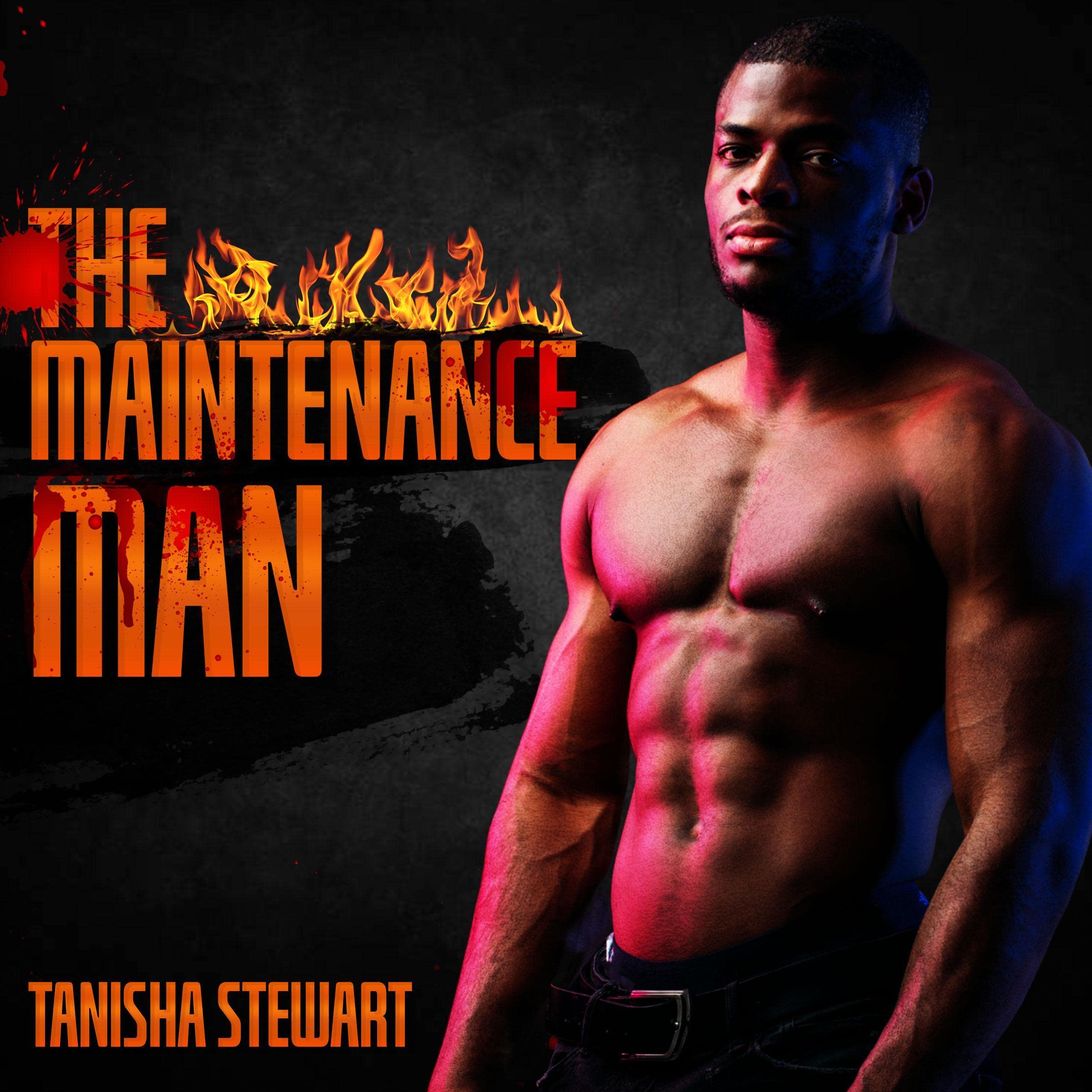 The Maintenance Man book cover