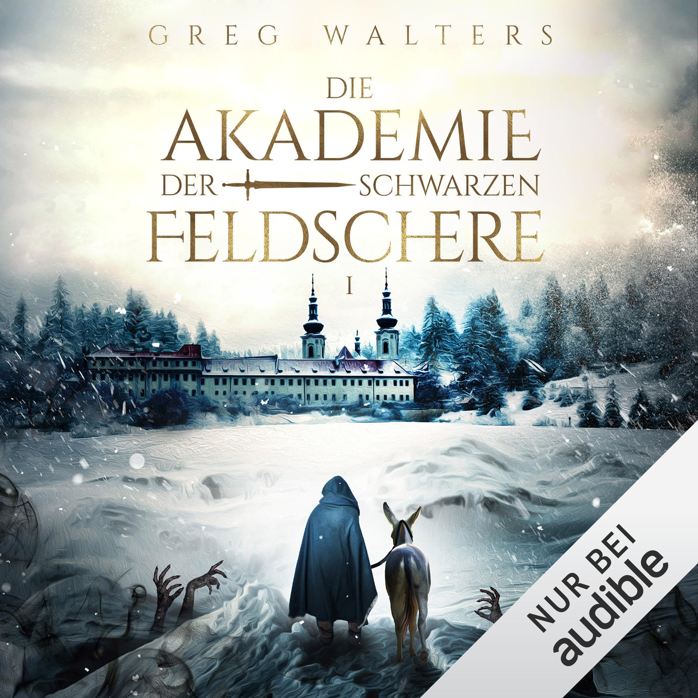Die Akademie der schwarzen Feldschere book cover
