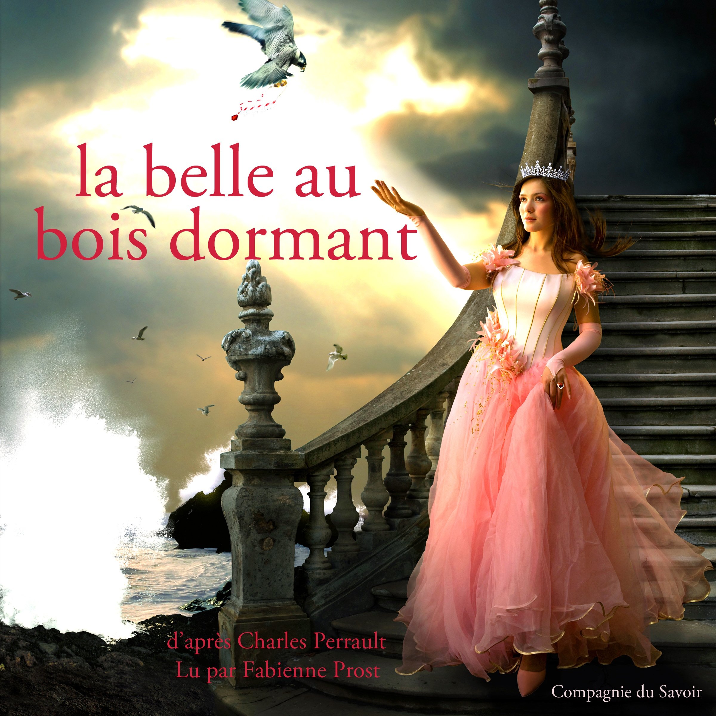la-belle-au-bois-dormant-les-plus-beaux-contes-pour-enfants-by-charles