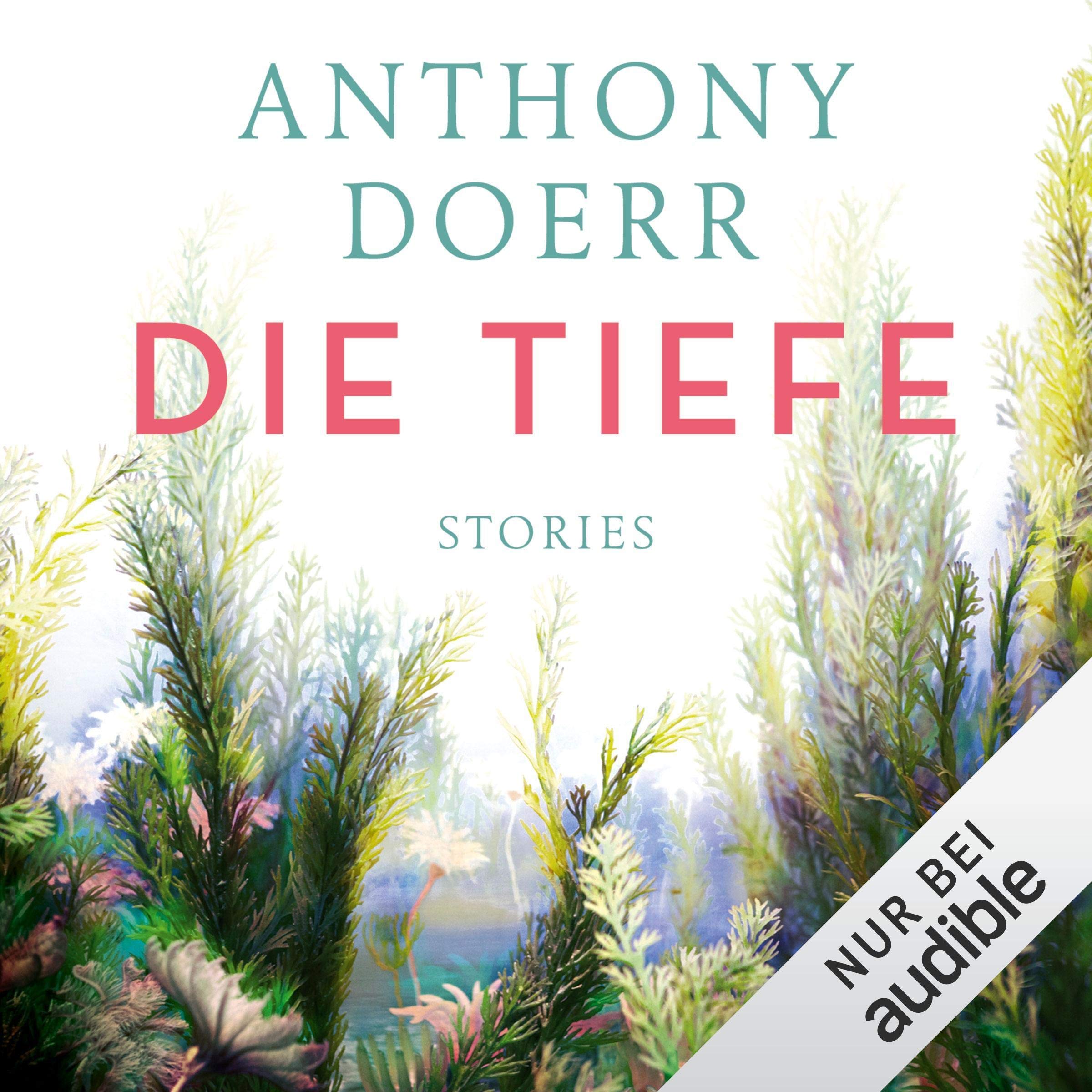 Die Tiefe book cover