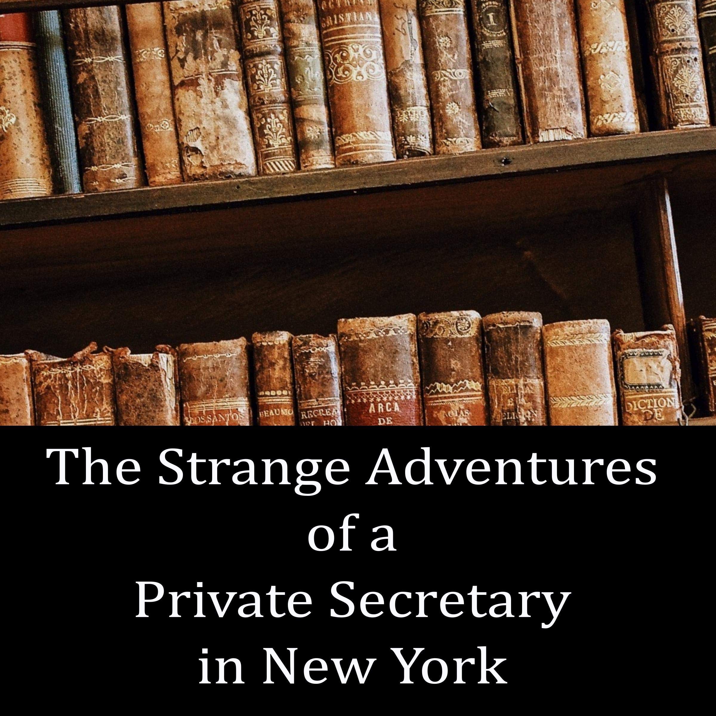 The Strange Adventures of a Private Secretary in New York book cover