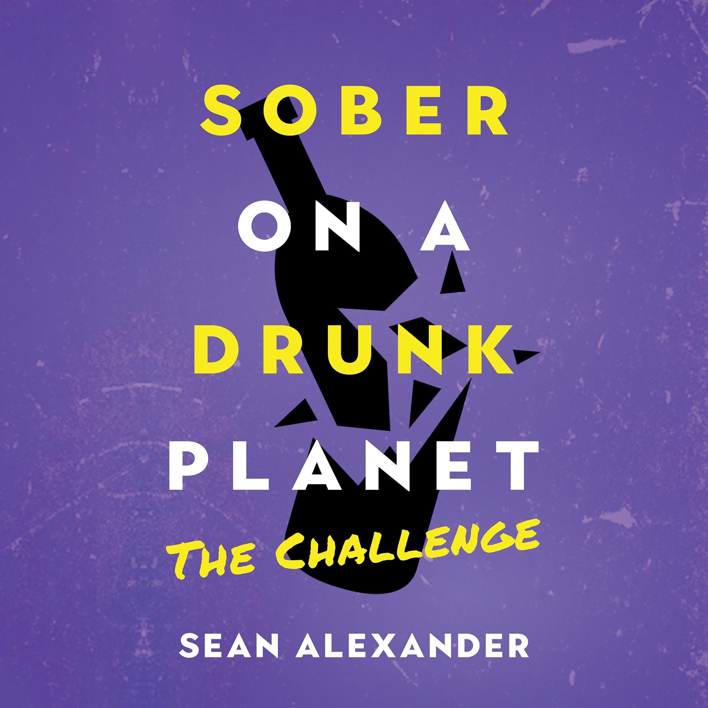 Sober on a Drunk Planet book cover