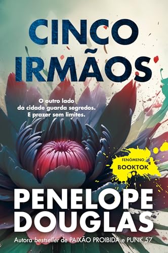 Cinco Irmãos book cover