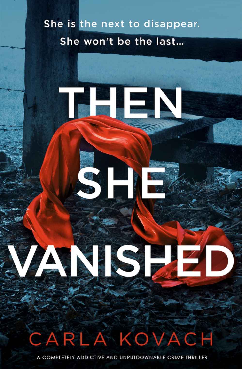 Then She Vanished