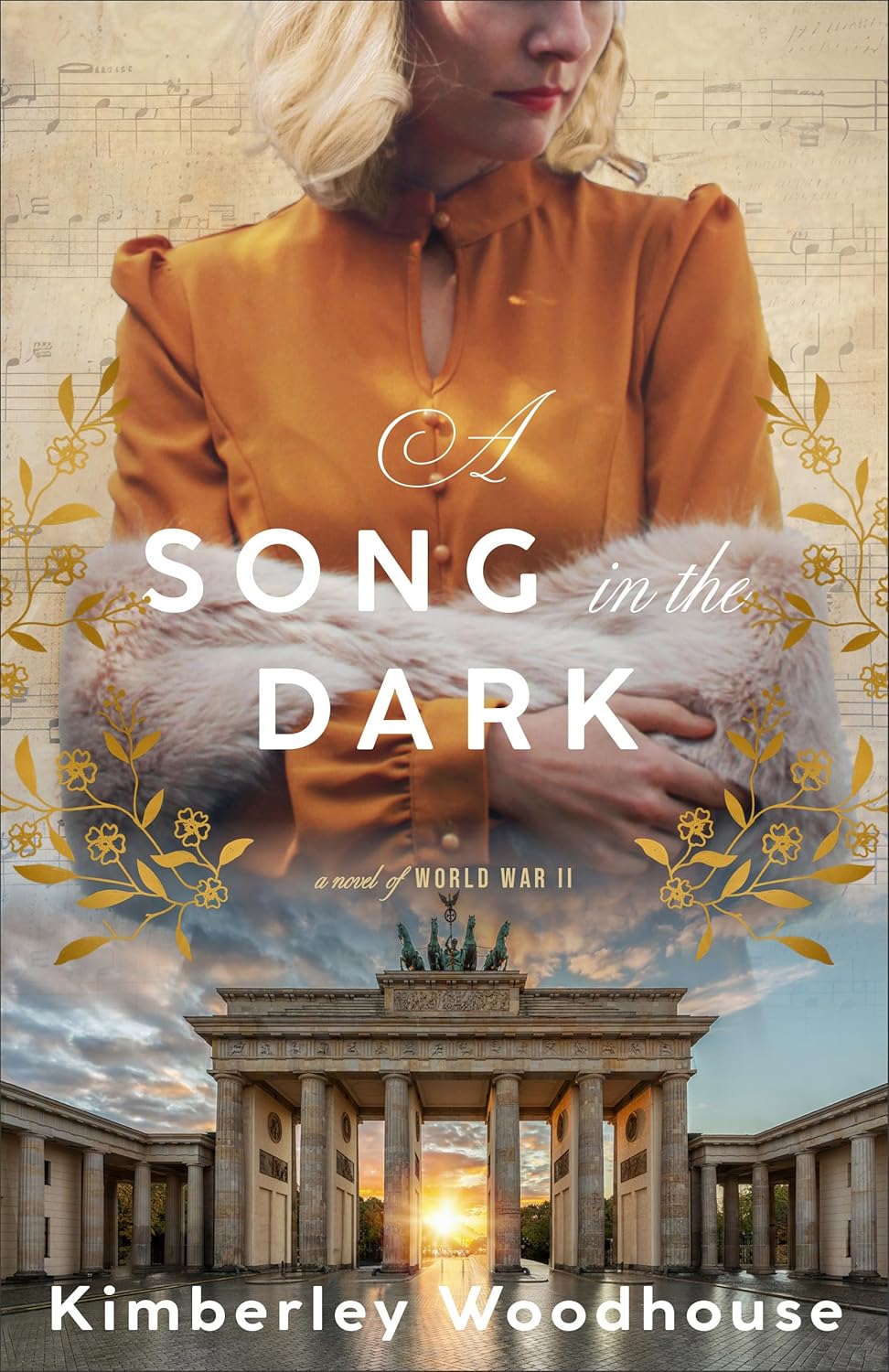 A Song in the Dark book cover