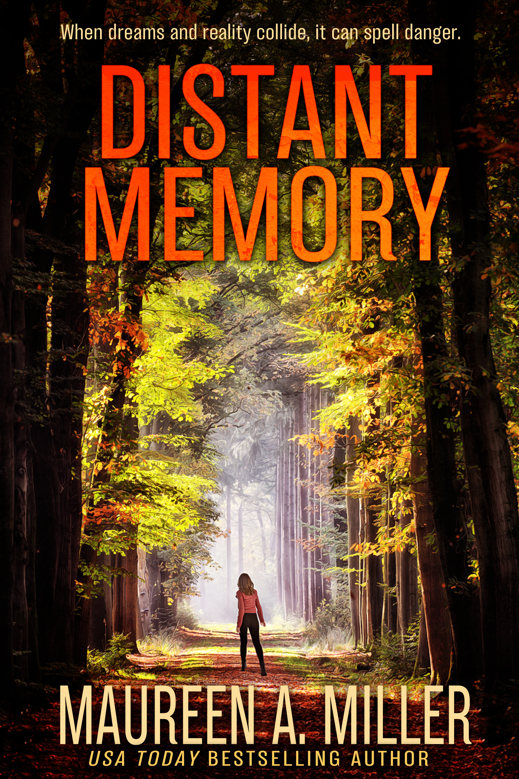Distant Memory book cover