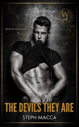 Boys of Willowbrook book cover 1