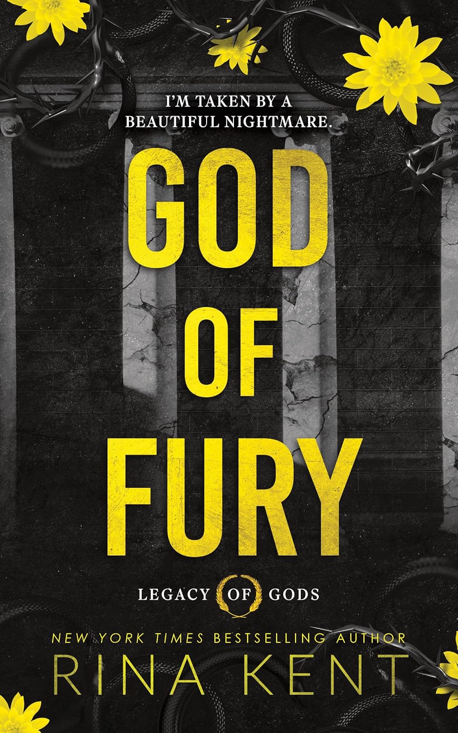 God of Fury book cover