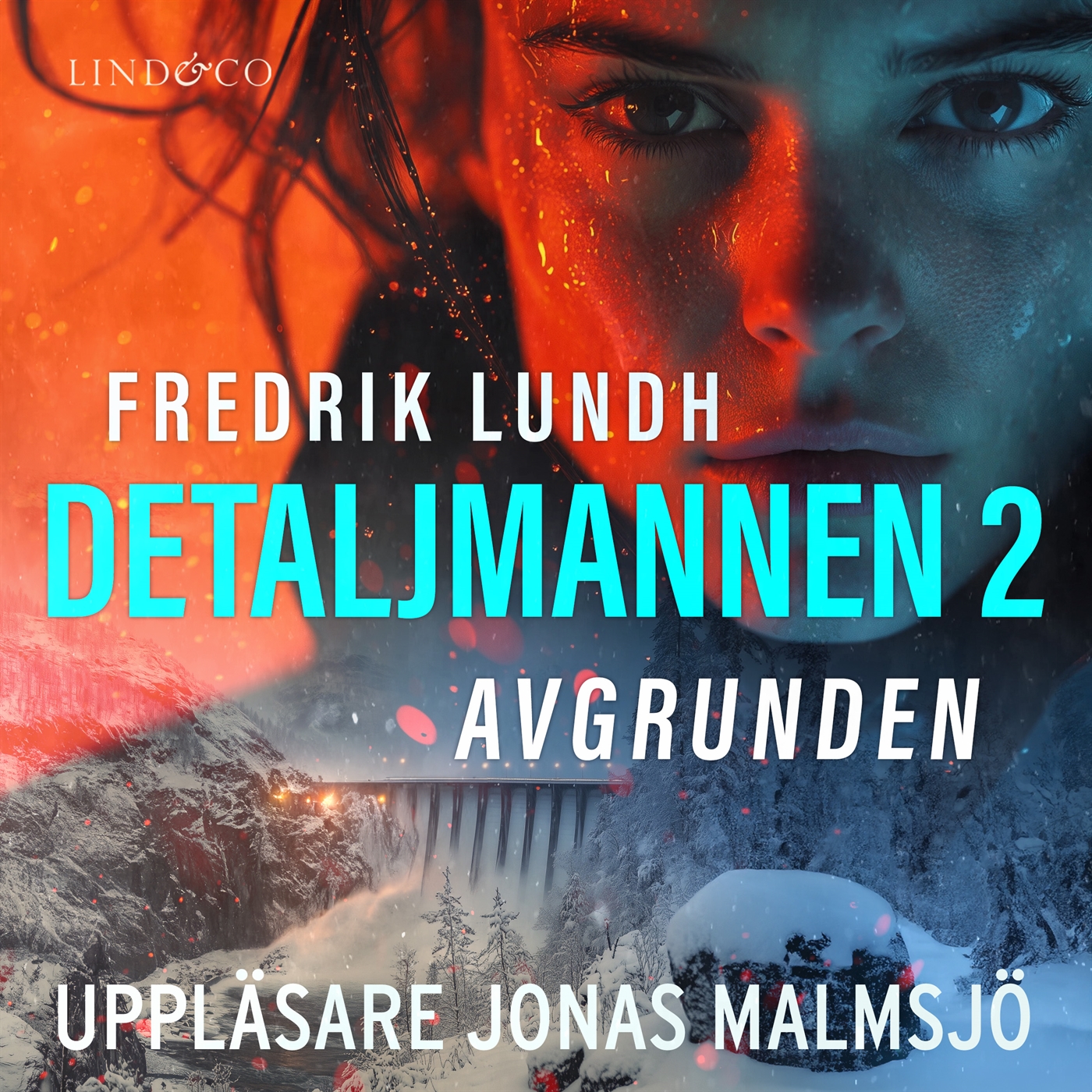 Detaljmannen 2 : Avgrunden
