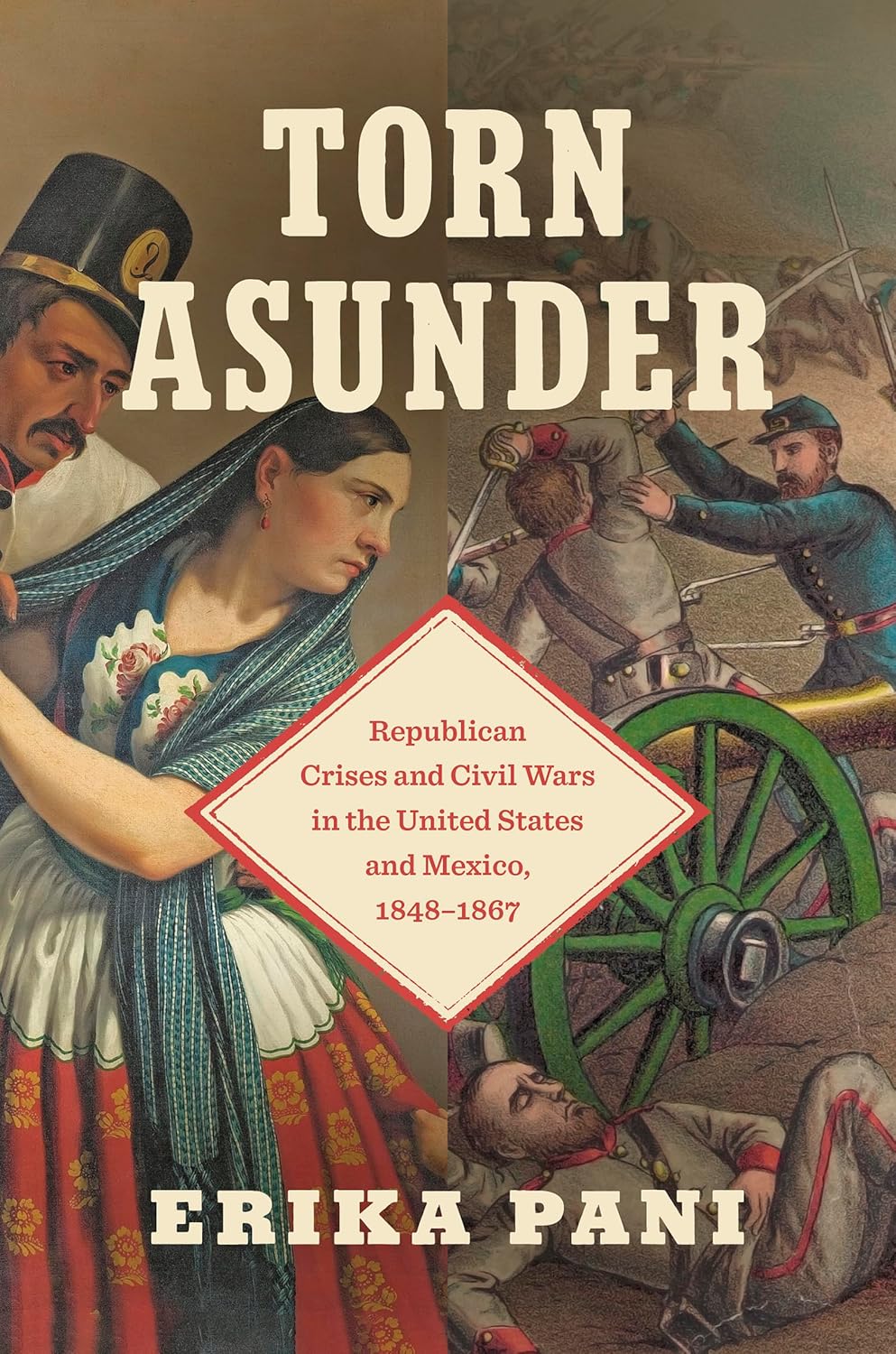 Torn Asunder book cover
