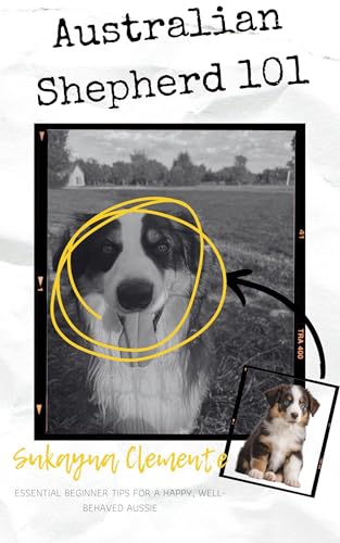 Australian Shepherd 101: ESSENTIAL BEGINNER TIPS FOR A HAPPY, WELL-BEHAVED AUSSIE