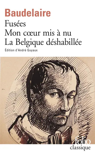 Fusées, Mon coeur mis à nu, La Belgique déshabillée book cover