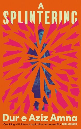 A Splintering: An unforgettable story of motherhood, obsession and ambition