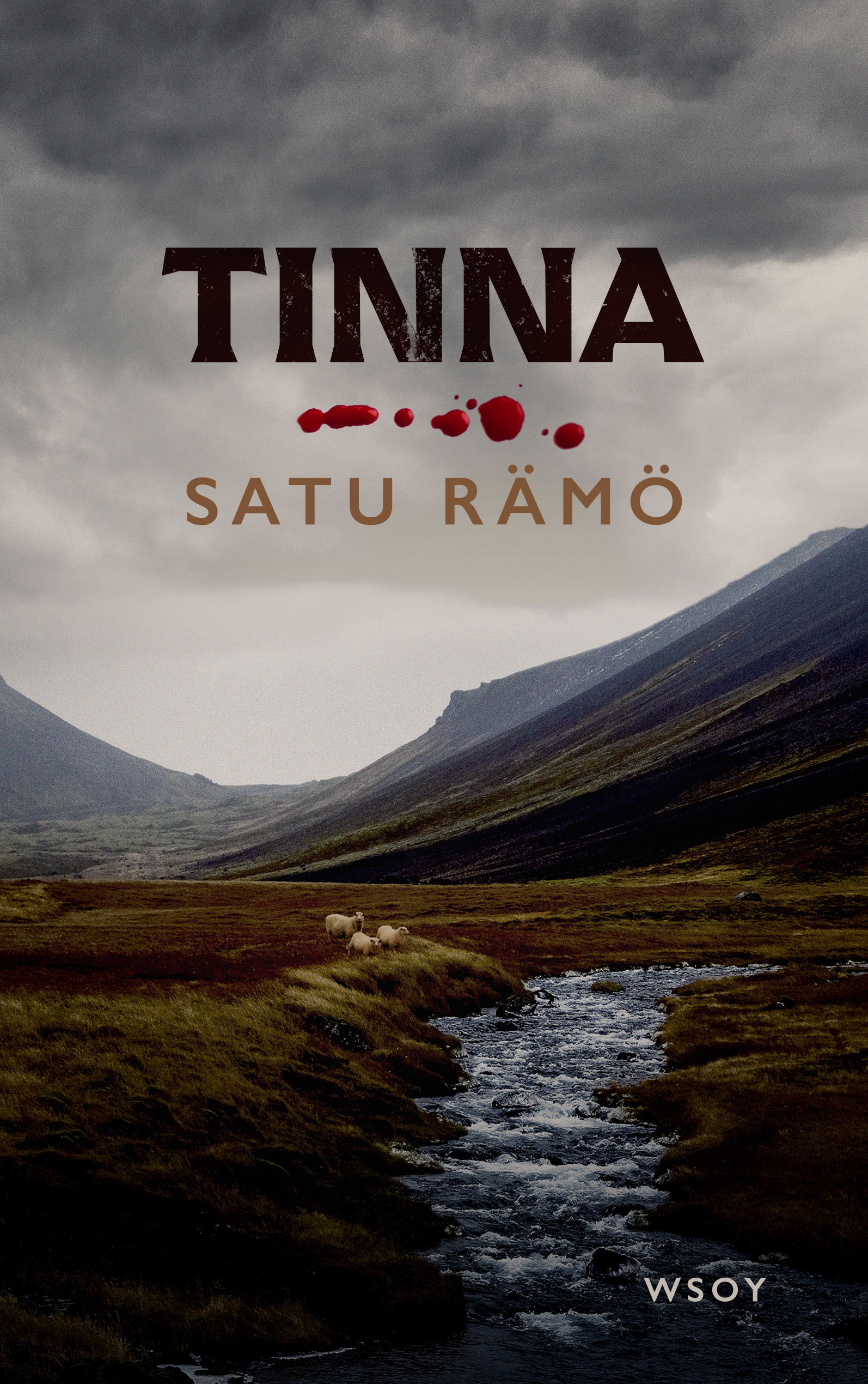 Tinna book cover