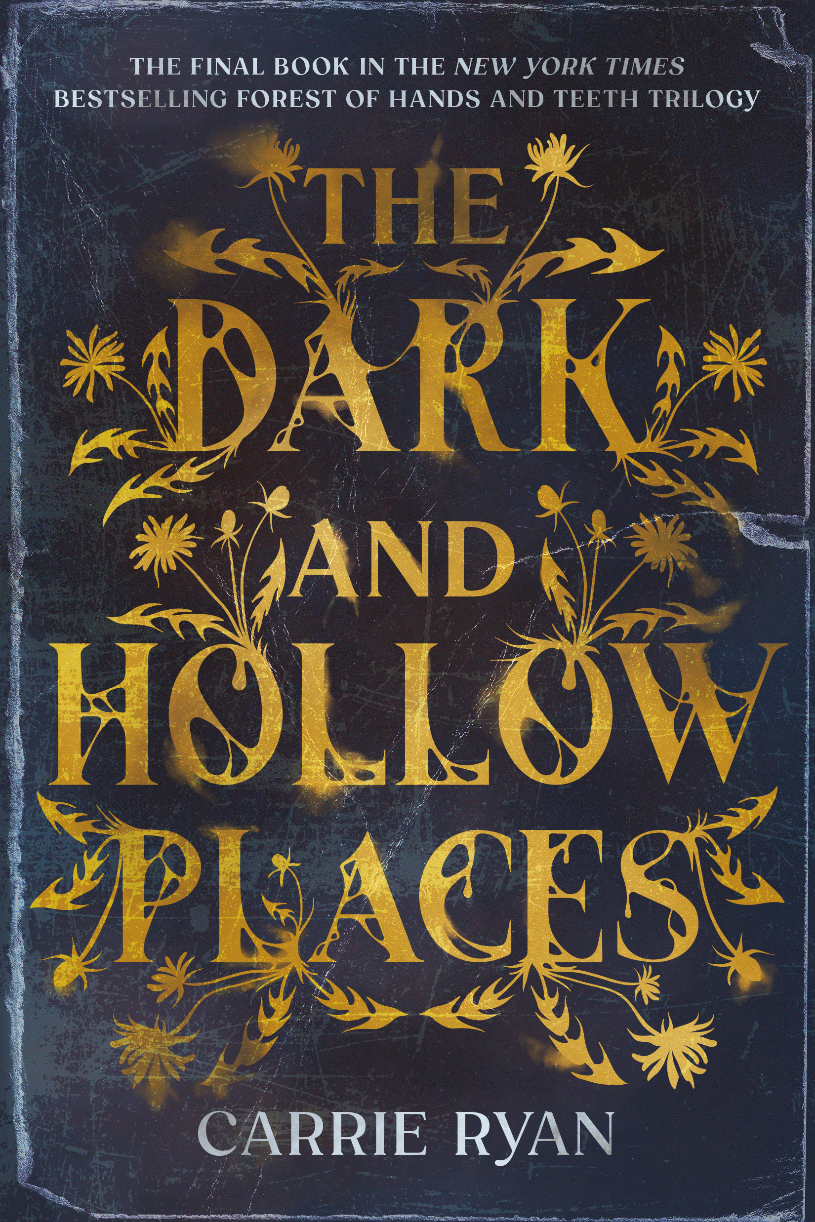The Dark and Hollow Places (The Forest of Hands and Teeth #3)