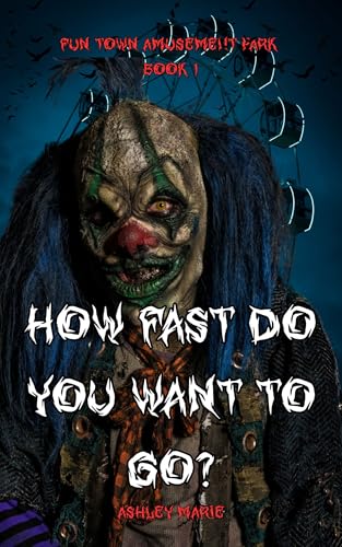 How Fast Do You Want To Go?: Fun Town Amusement Park