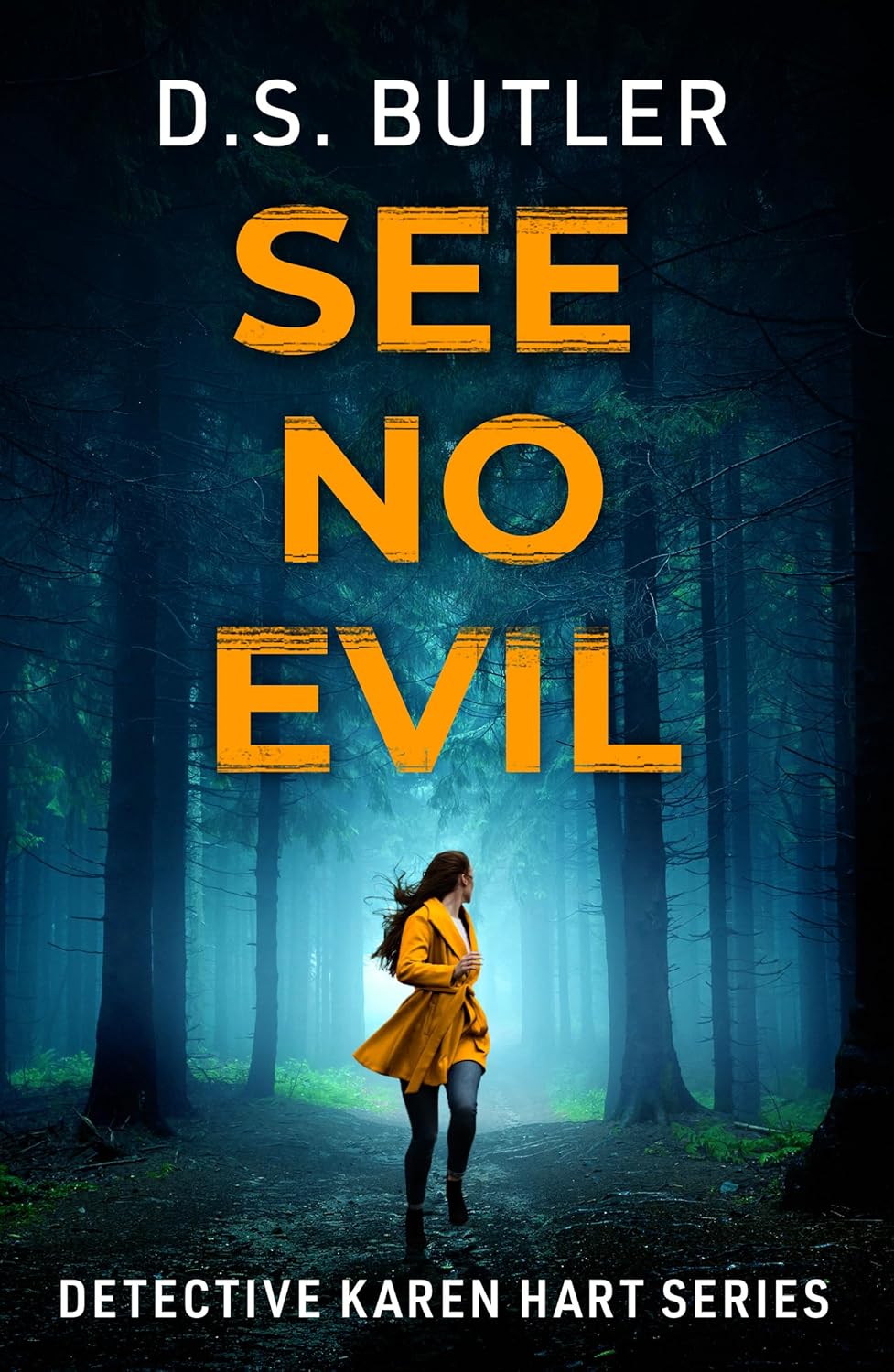 See No Evil (Detective Karen Hart, #11)