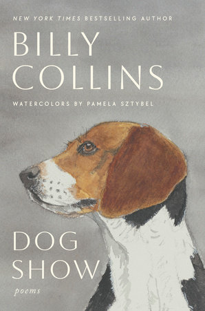 Dog Show book cover