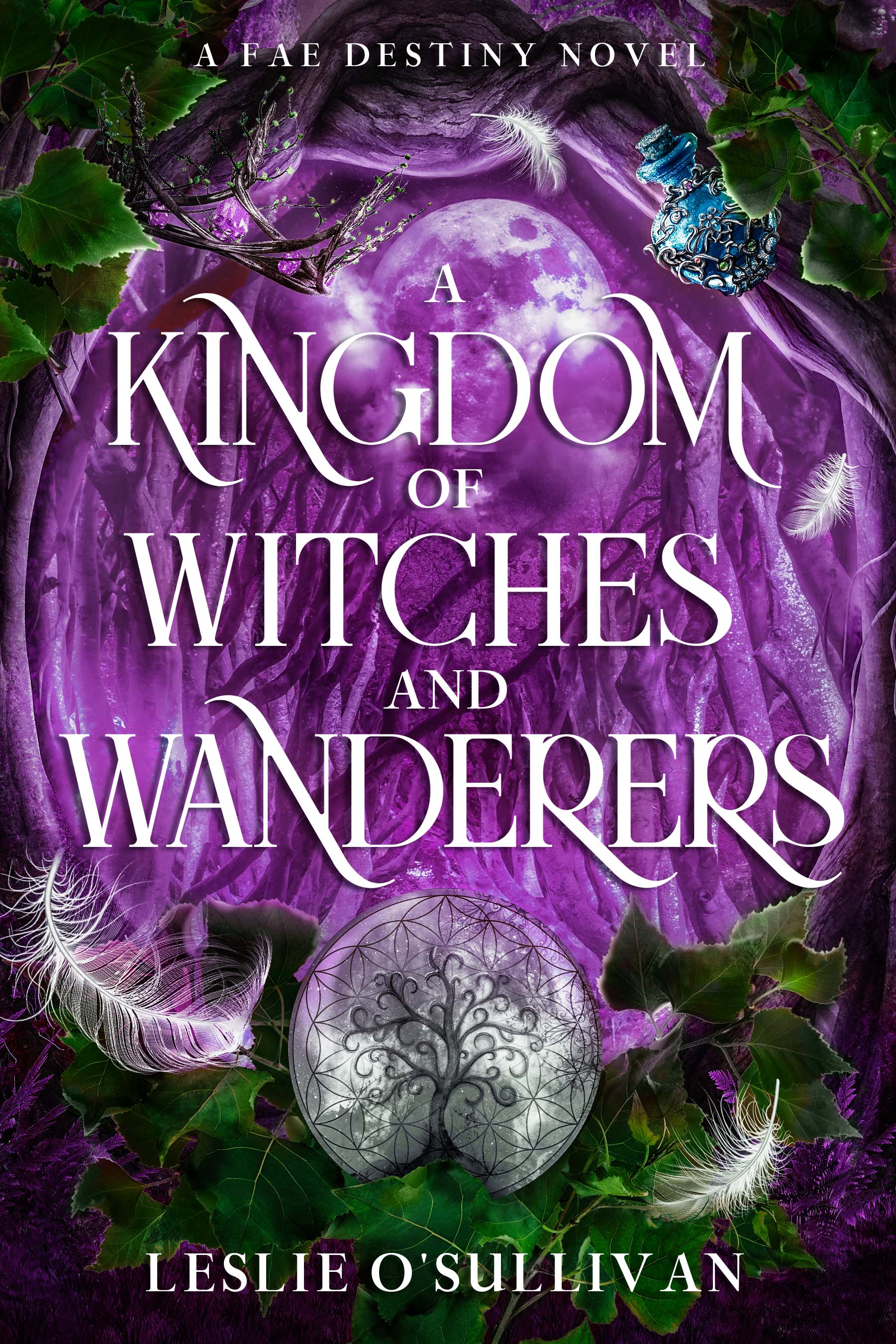 A Kingdom of Witches and Wanderers book cover