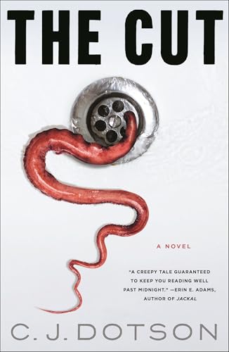 The Cut book cover