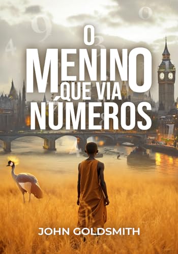 O MENINO QUE VIA NÚMEROS