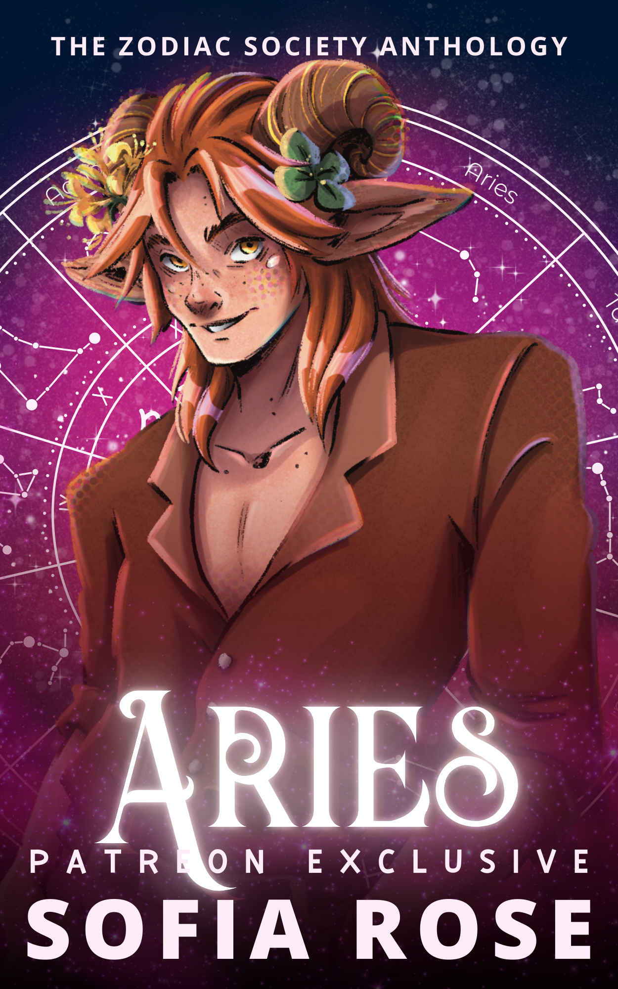 Aries book cover