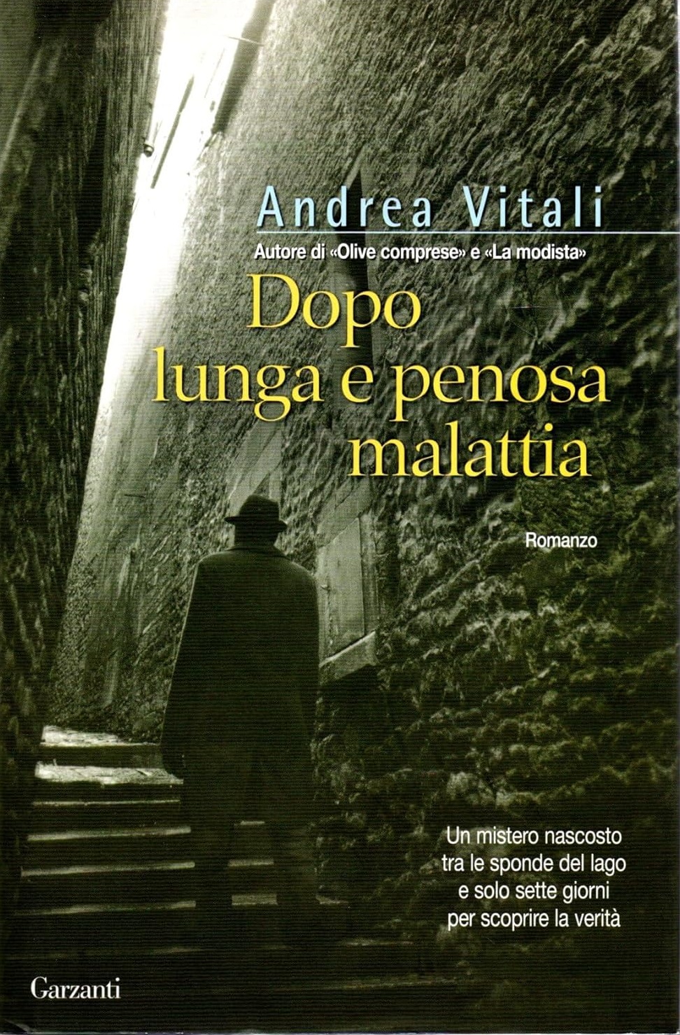 Dopo lunga e penosa malattia book cover