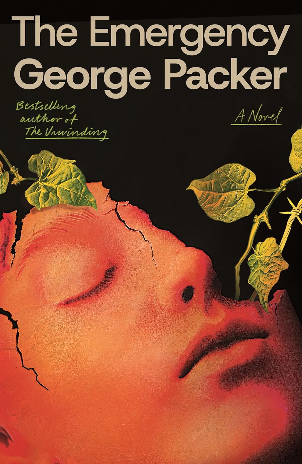 George Ritz Emergency The Emergency by George Packer | Goodreads