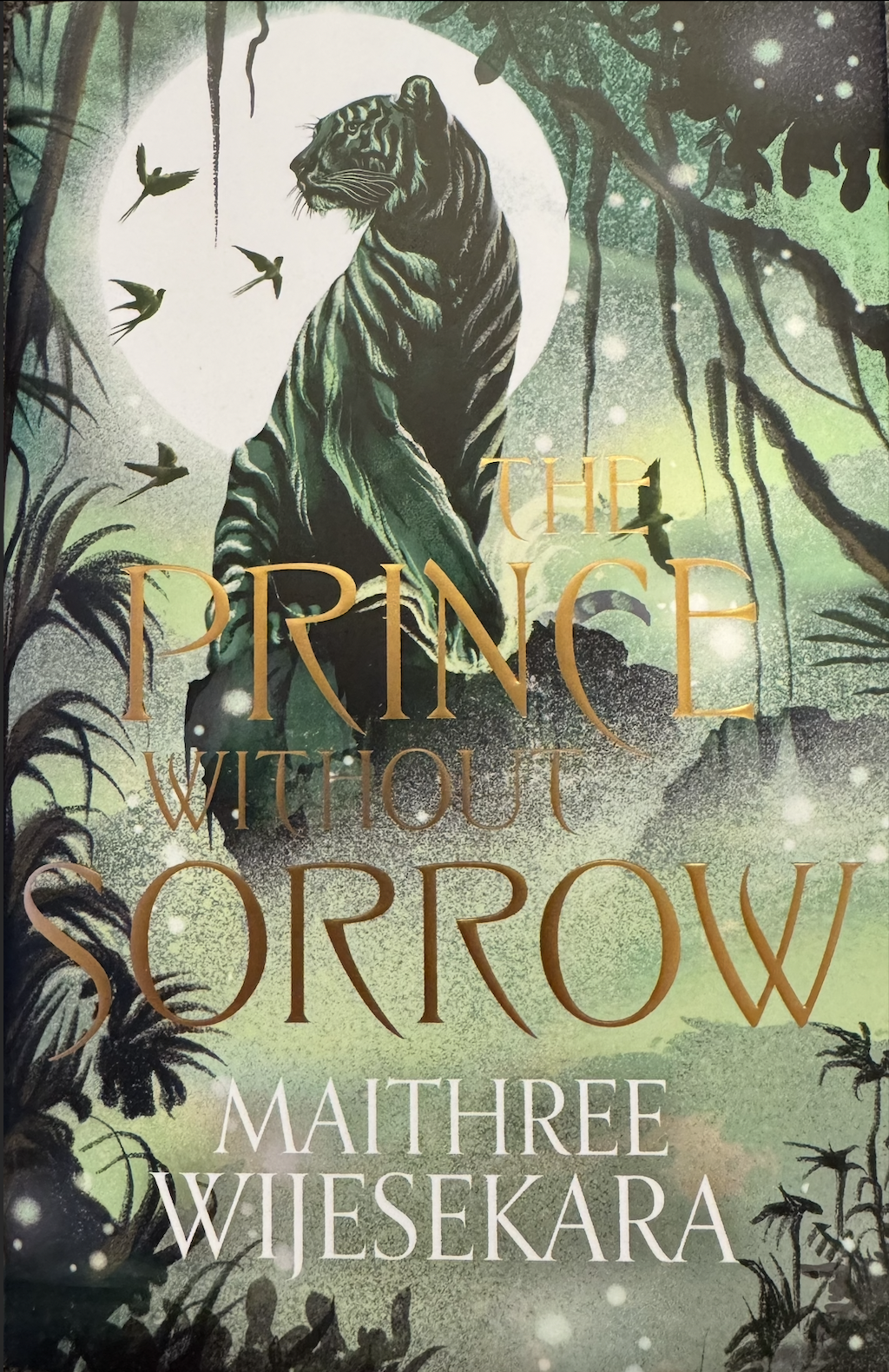 The Prince Without Sorrow (Obsidian Throne, #1)