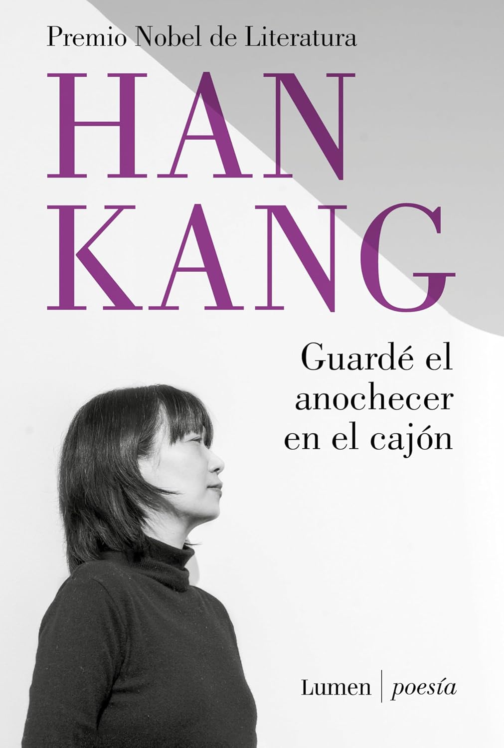 Guardé el anochecer en el cajón book cover